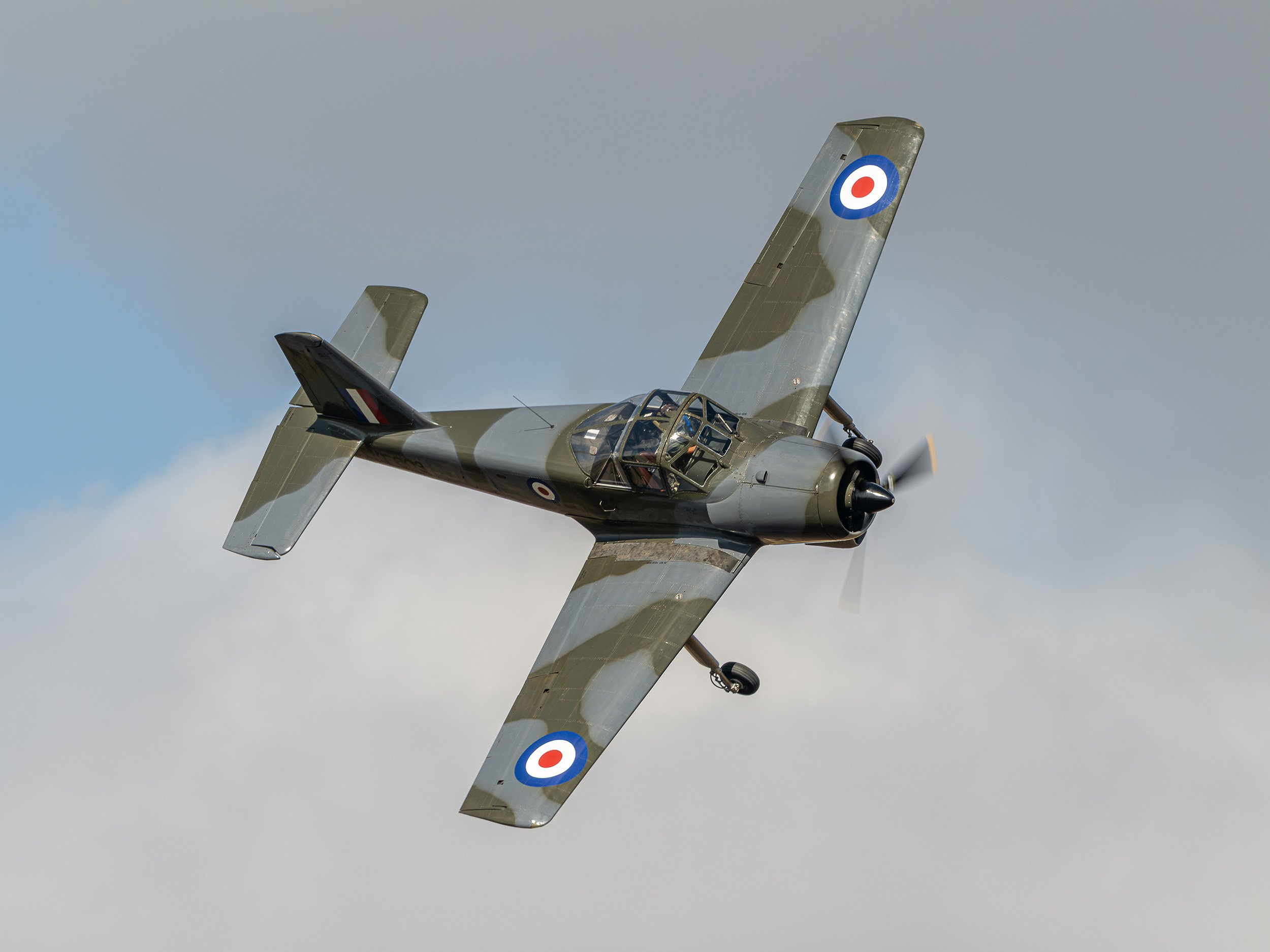 Percival Provost | Family Airshow 2024