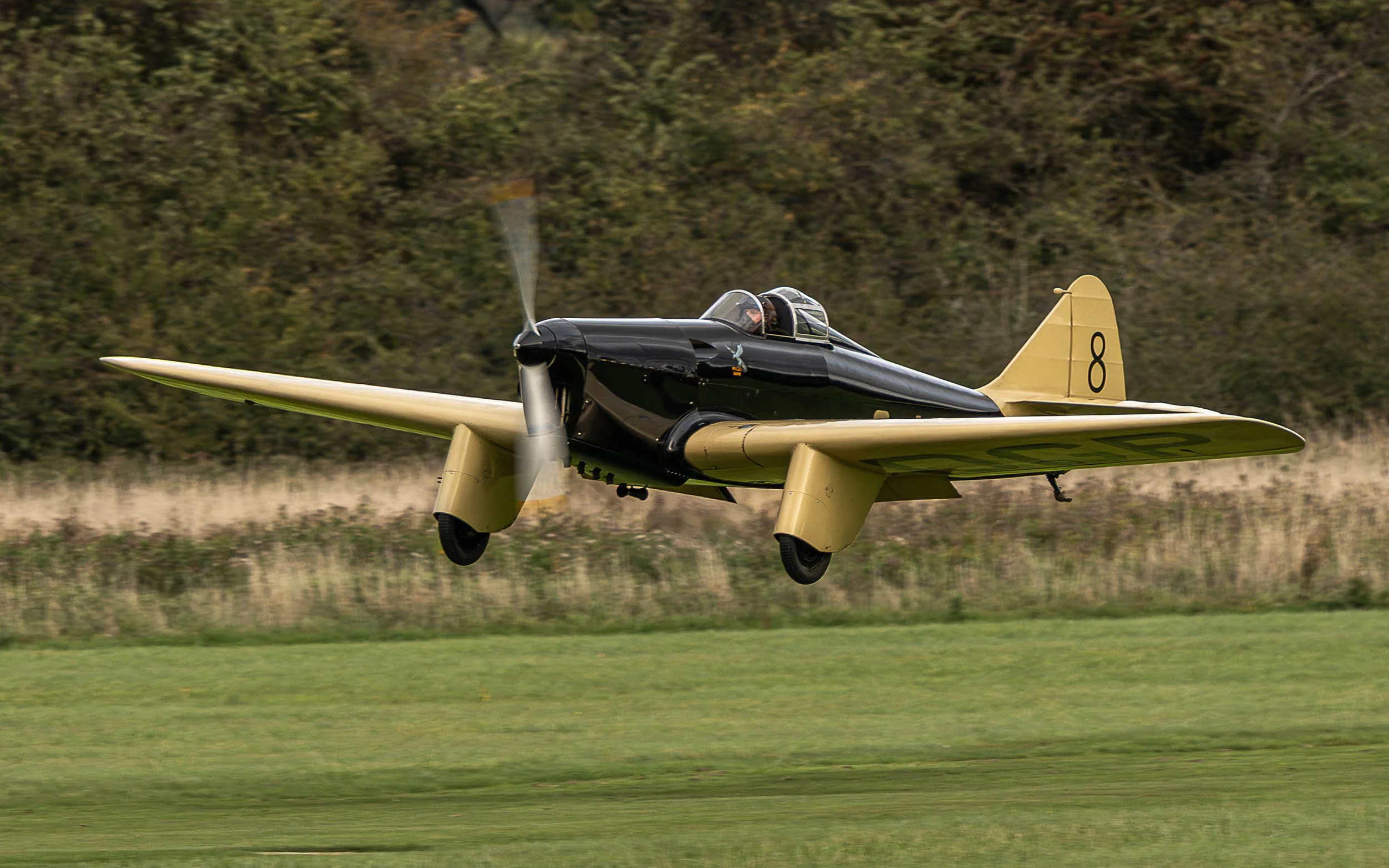 Miles Hawk Speed Six | Raceday Airshow 2025