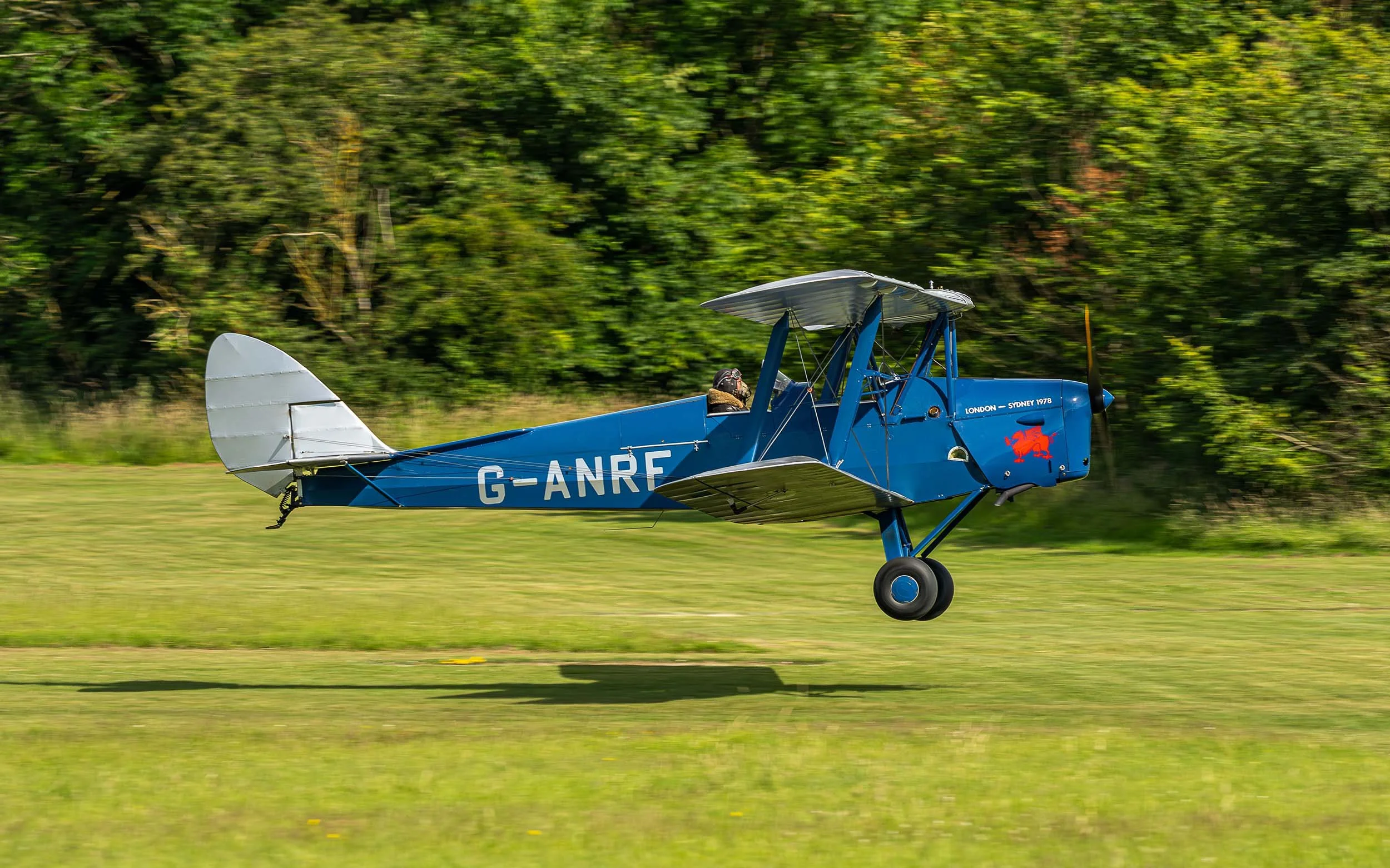 de Havilland DH.82A | Festival of Flight 2024