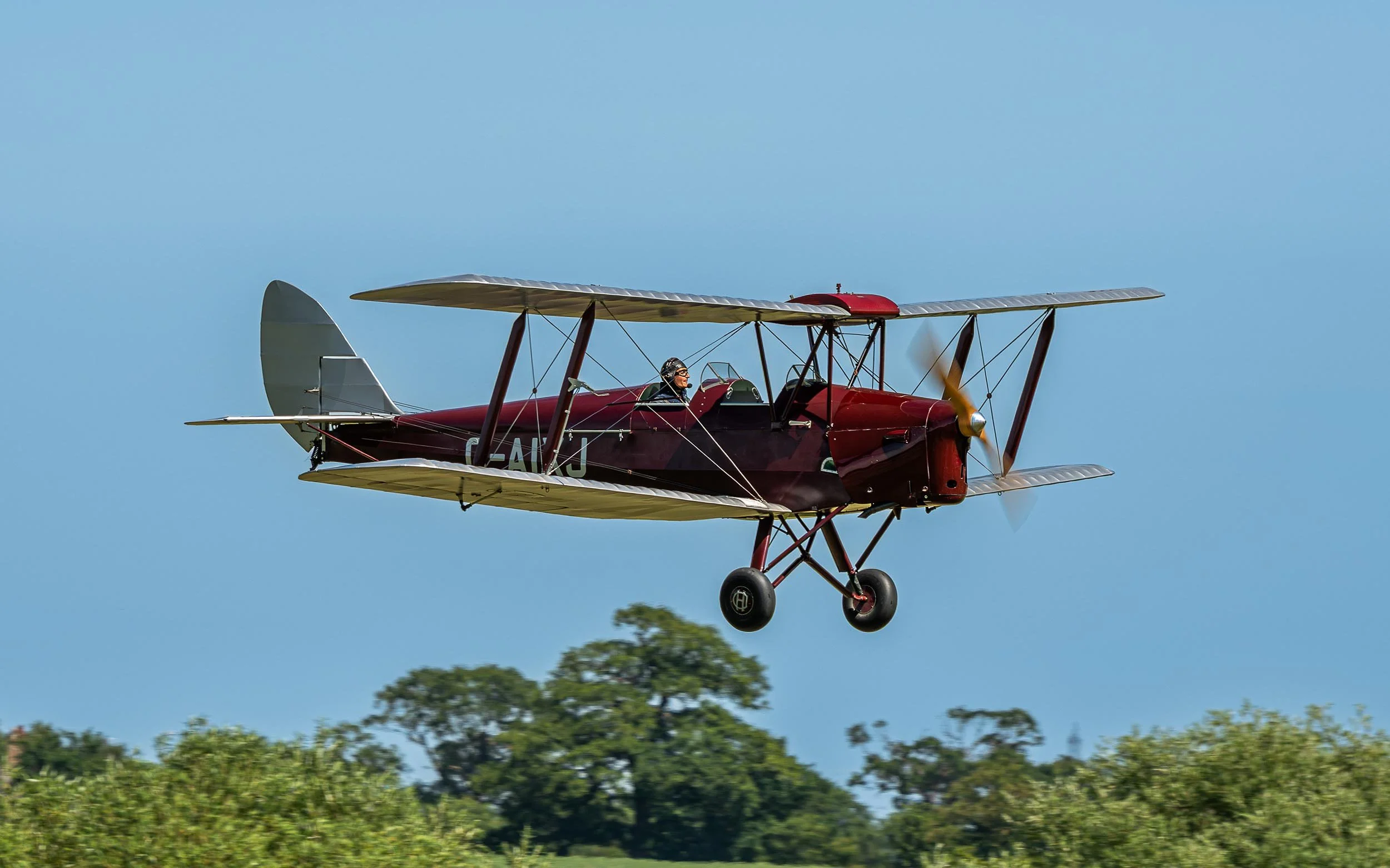 de Havilland DH.82A | Festival of Flight 2024