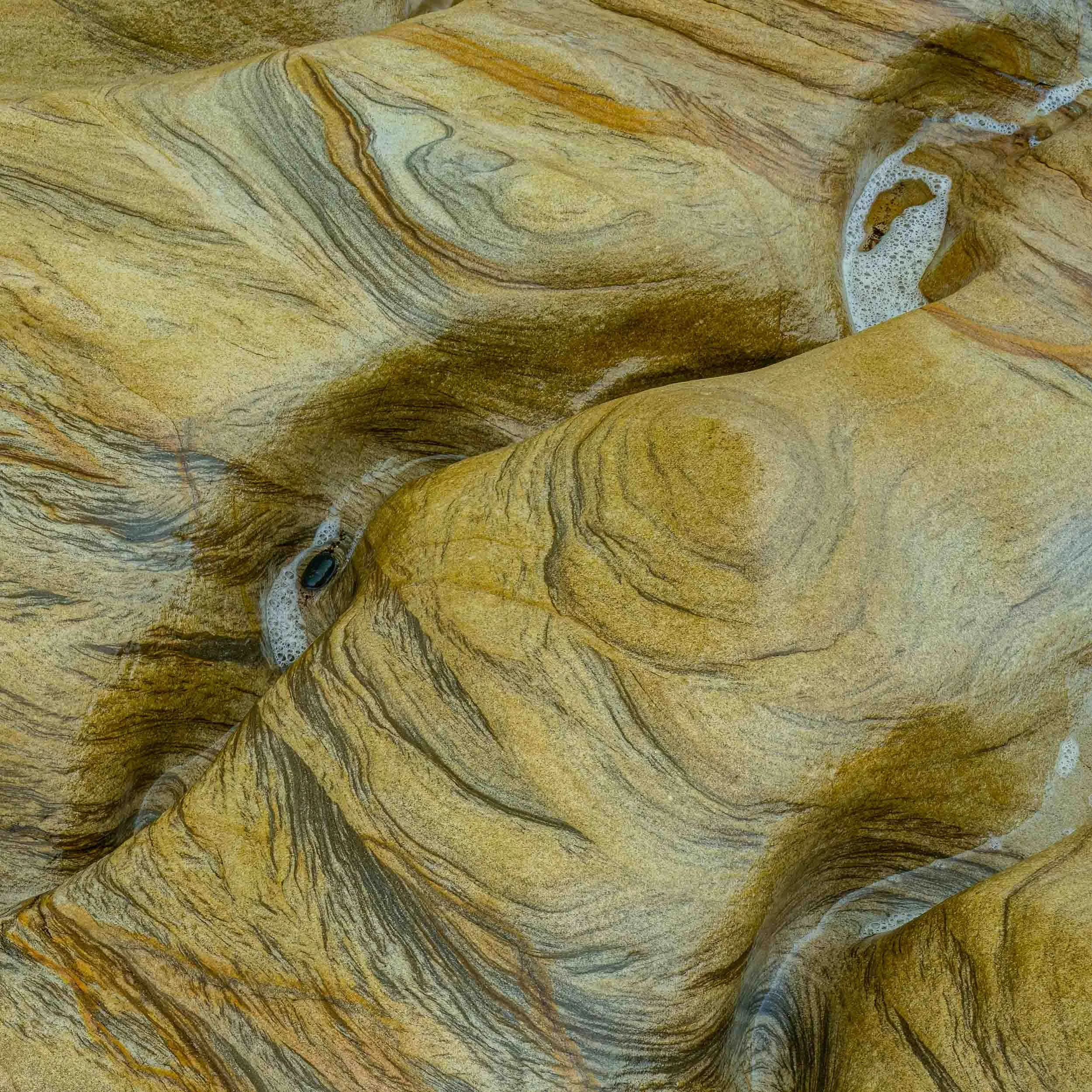 Sandstone rock formation | Spittal Beach | Northumberland 