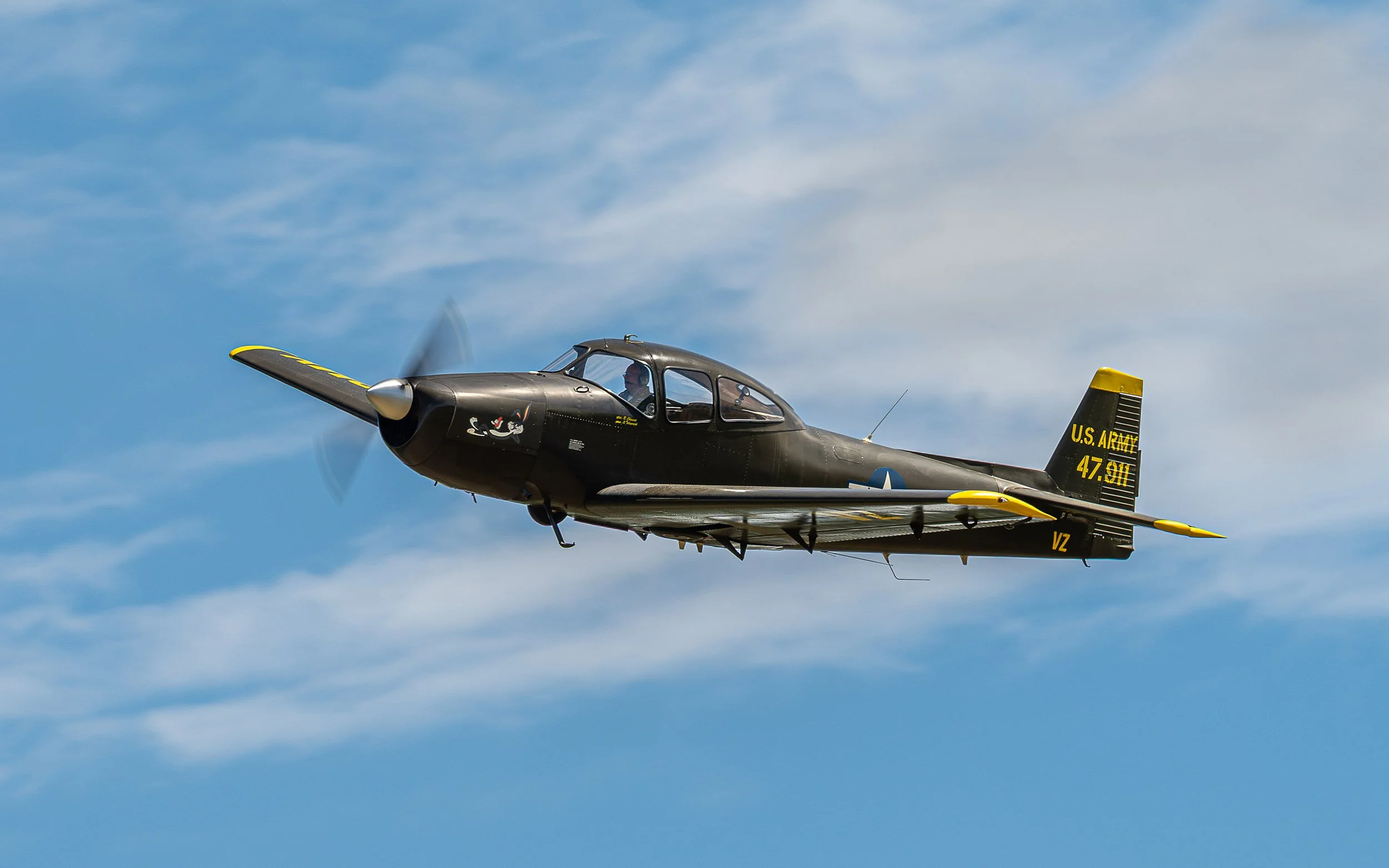 North American Navion | Festival of Flight Airshow
