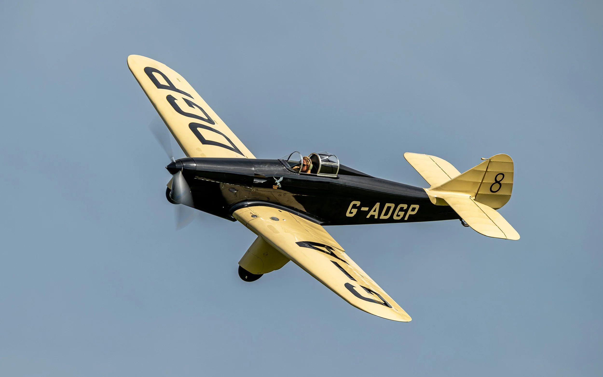 Hawk Speed Six | Festival of Flight 2024