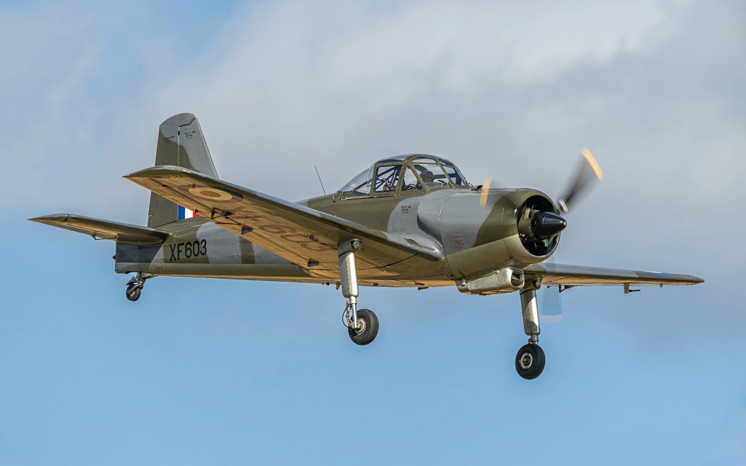Percival Provost | Family Airshow 2024