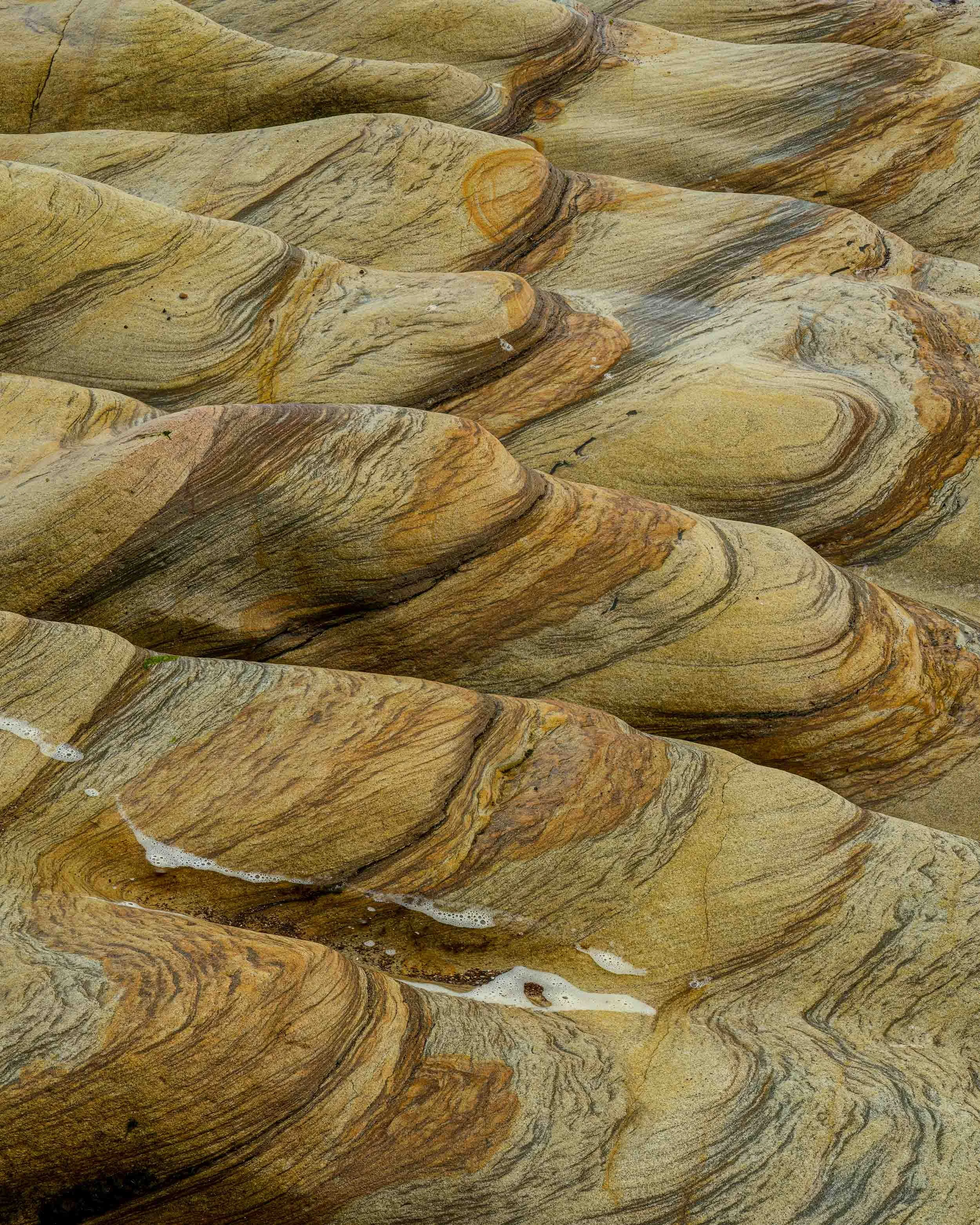 Sandstone rock formation | Spittal Beach | Northumberland 