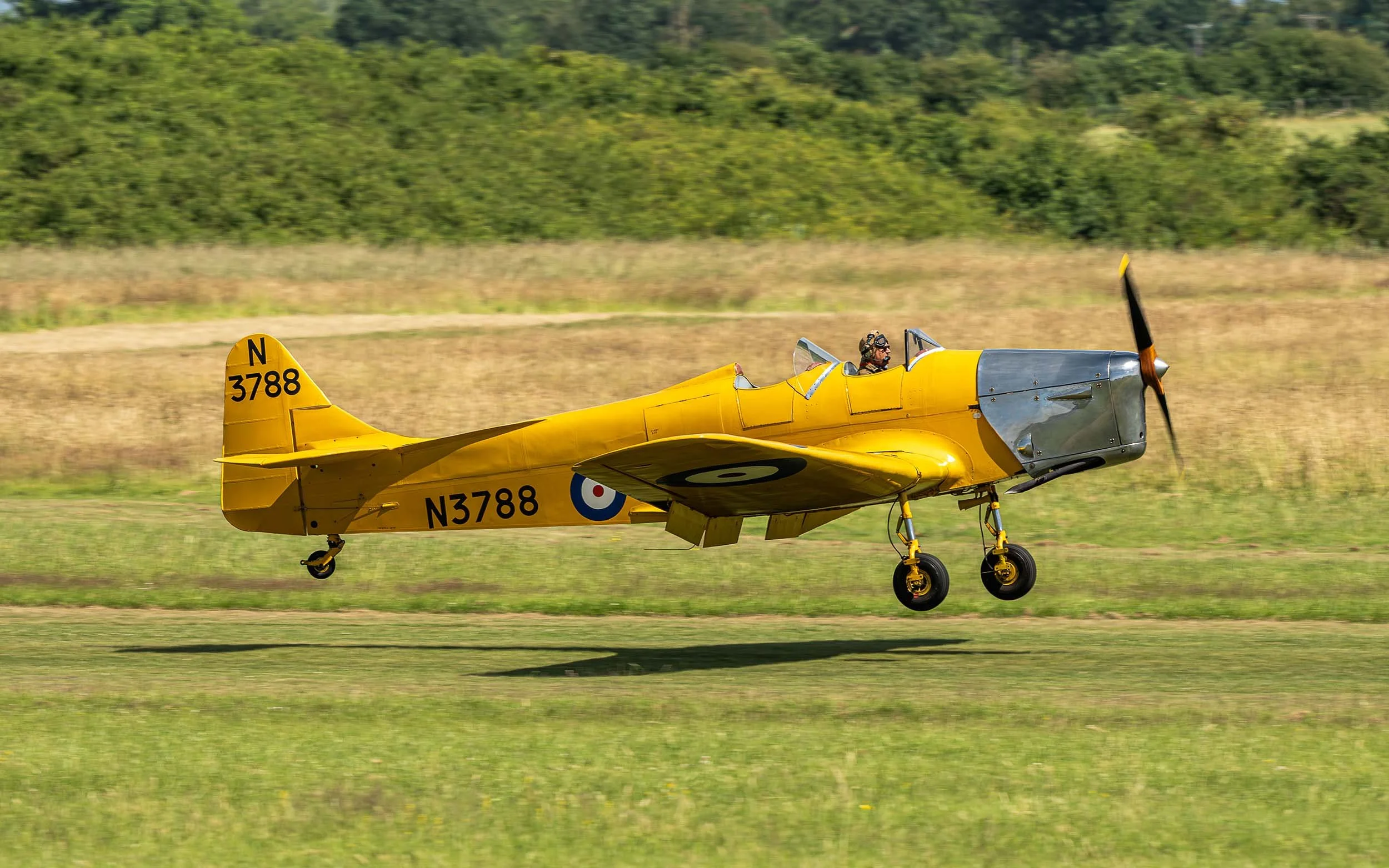 Miles Magister | Festival of Flight 2024
