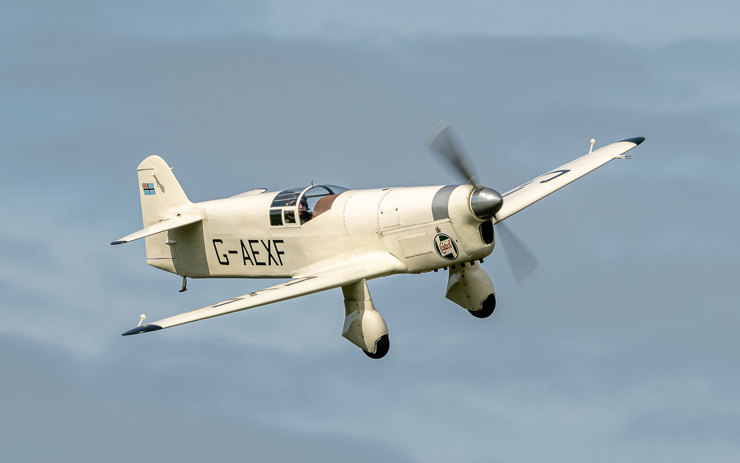 Percival Mew Gull | Festival of Flight 2024