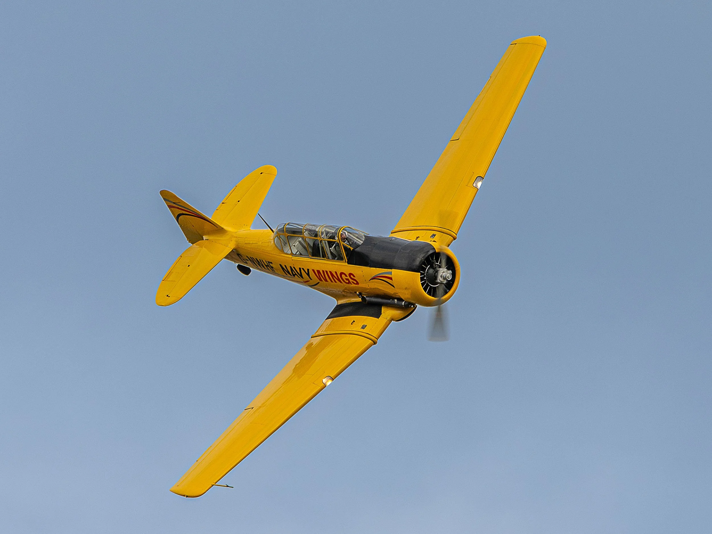 North American Harvard Mk.IV | Raceday Airshow 2025