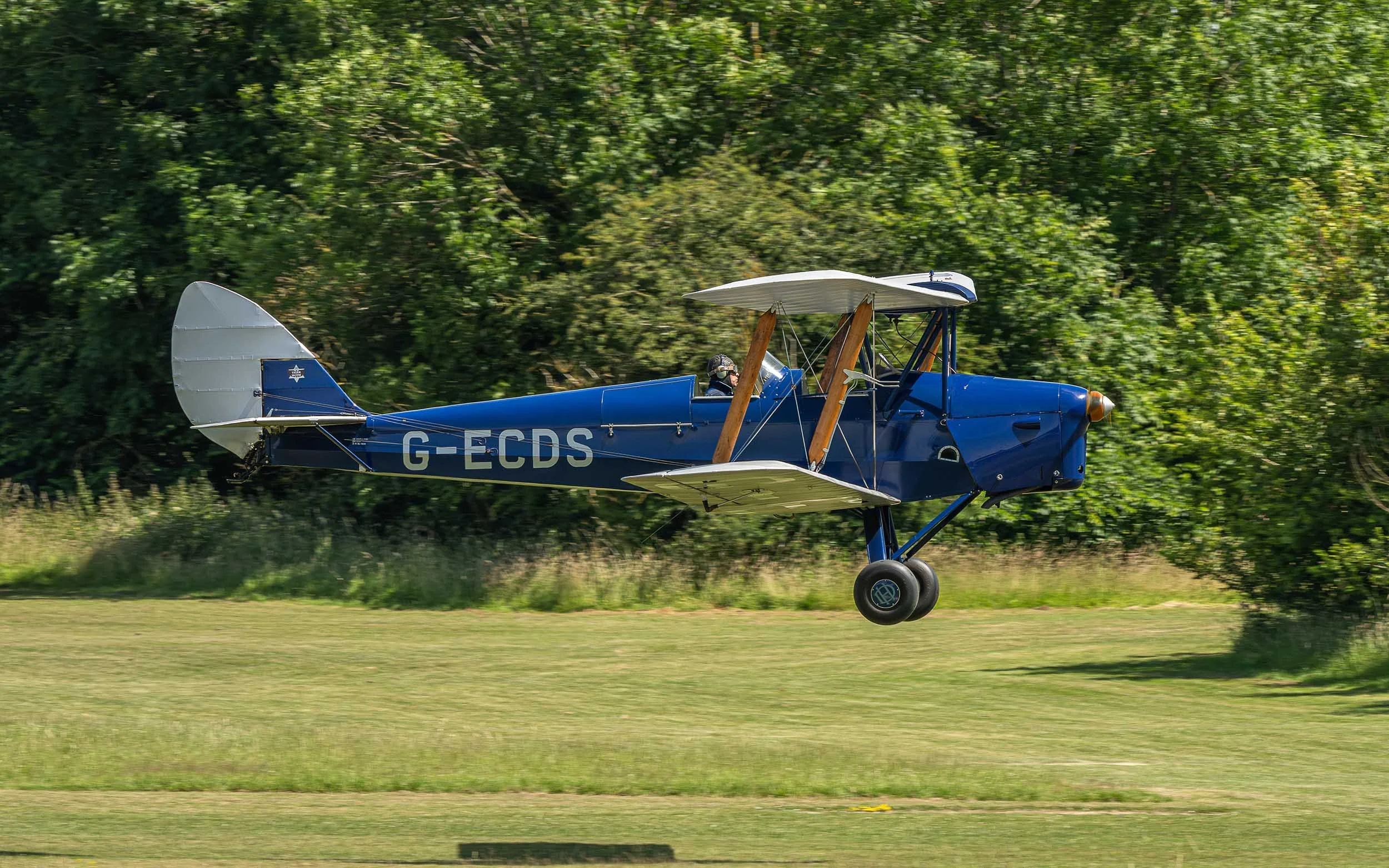de Havilland DH.82A | Festival of Flight 2024