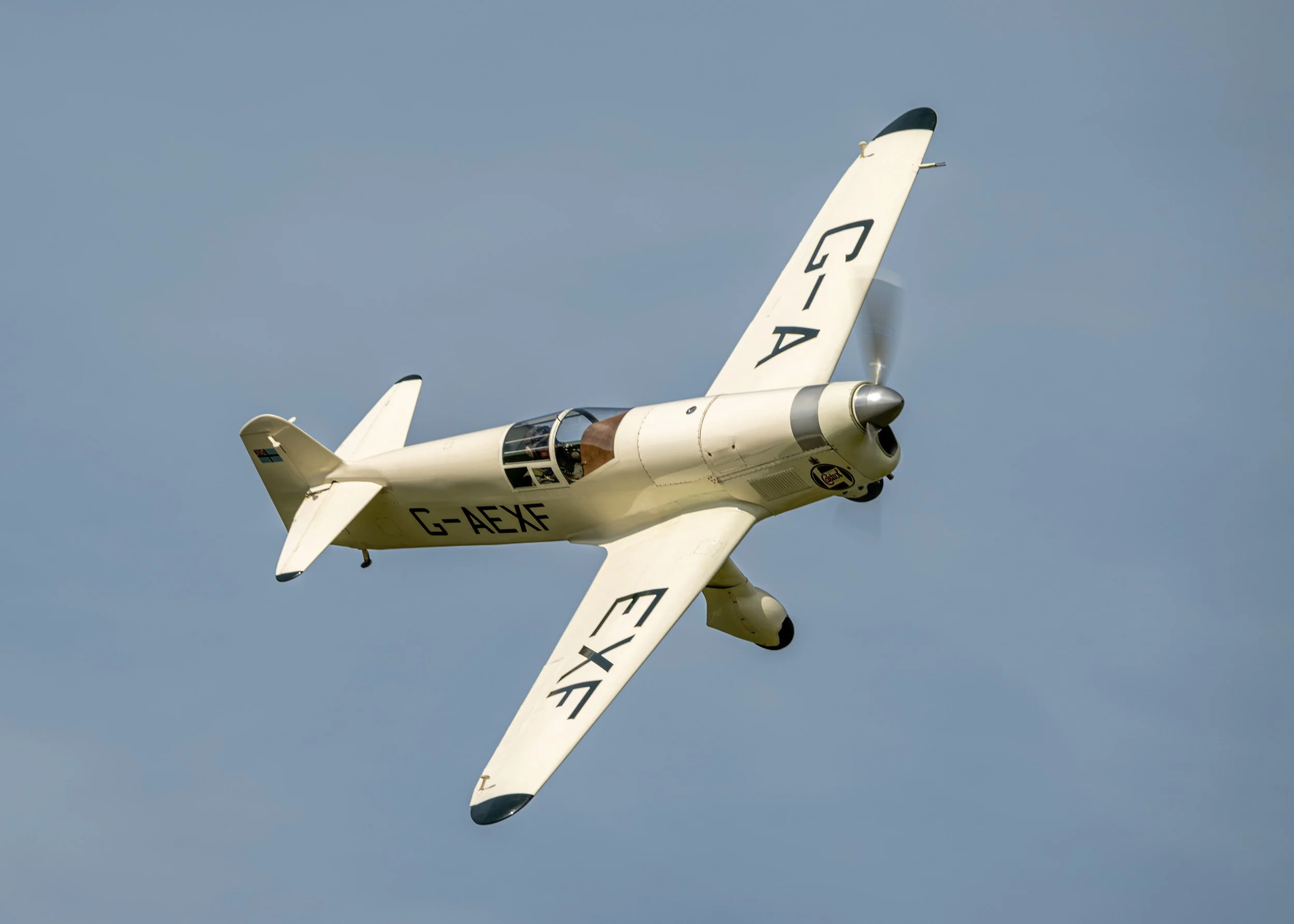 Percival Mew Gull | Festival of Flight 2024