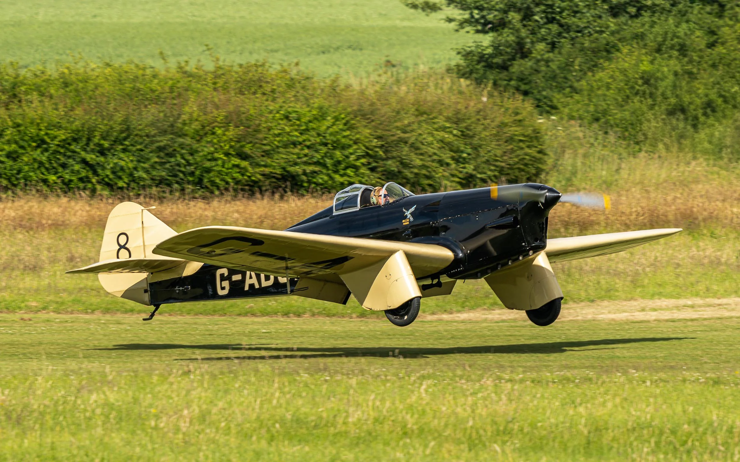 Hawk Speed Six | Festival of Flight 2024