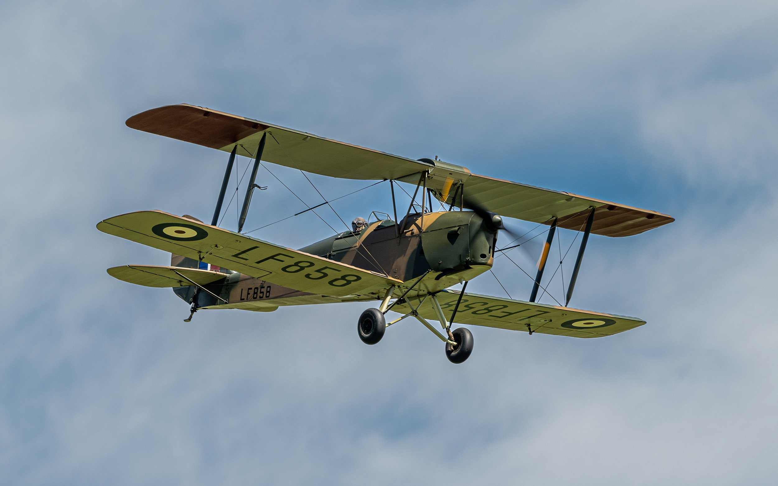 de Havilland DH.82 Queen Bee | Festival of Flight 2024