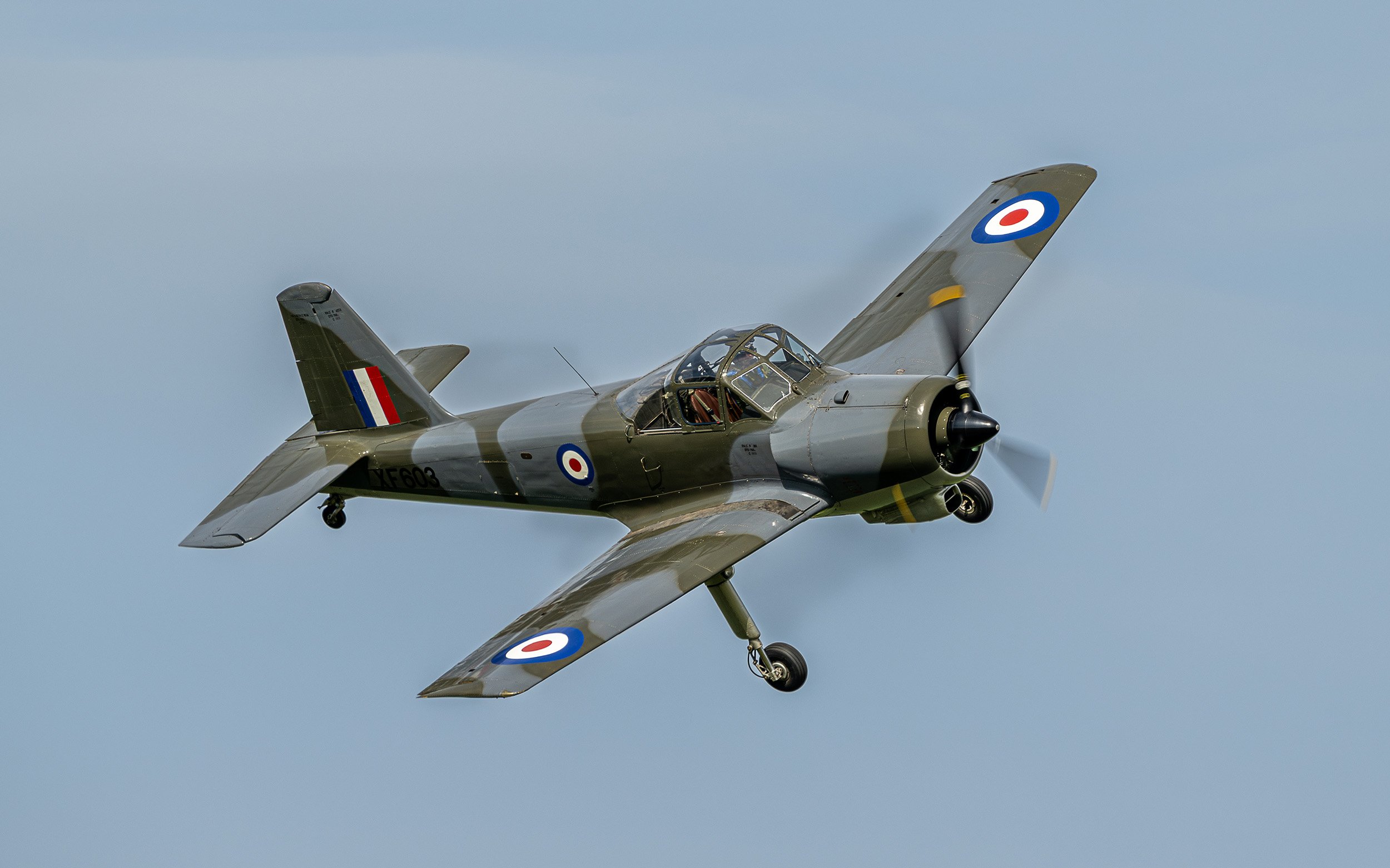 Percival Provost | Festival of Flight 2024