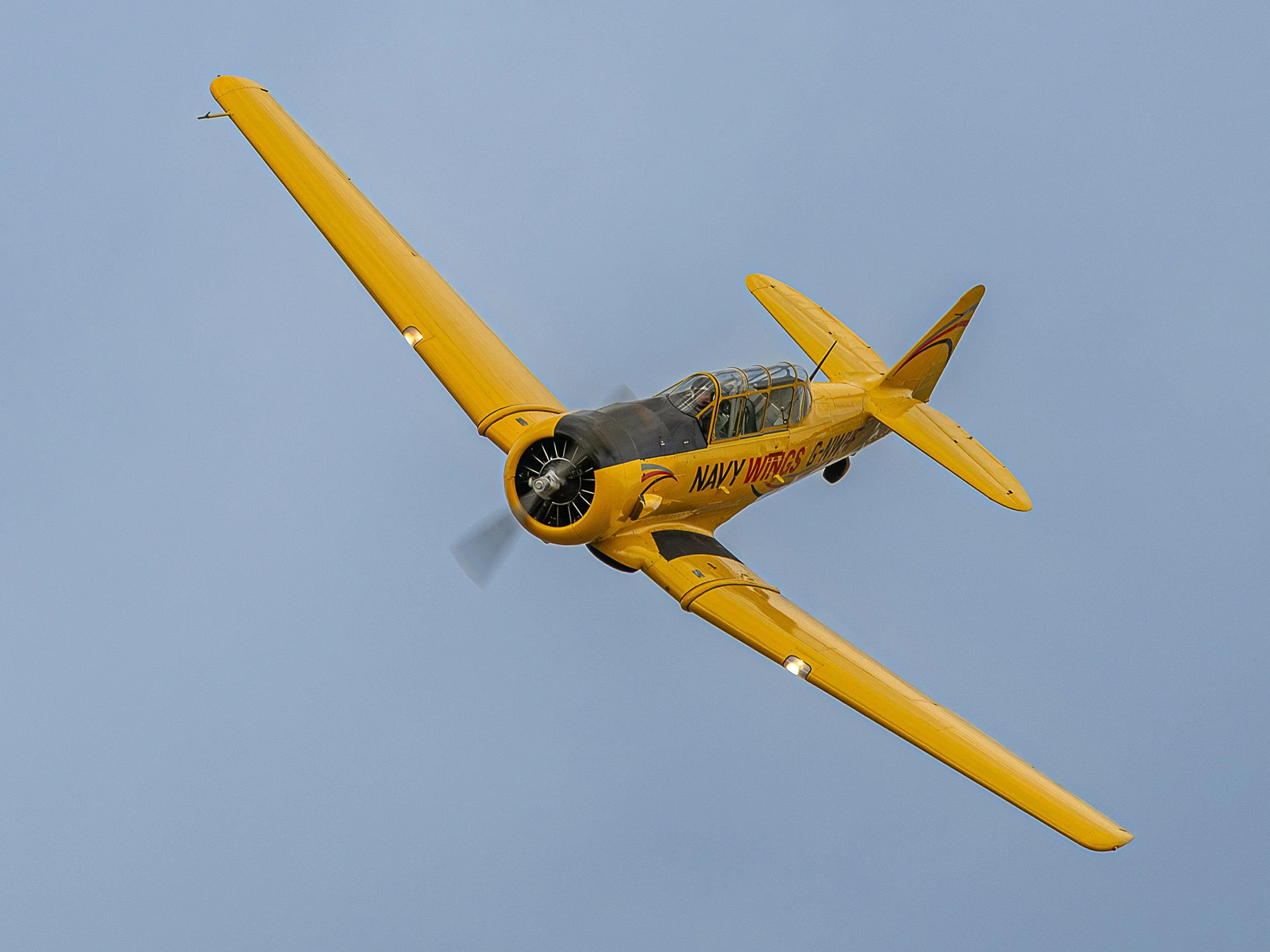 North American Harvard Mk.IV | Raceday Airshow 2025