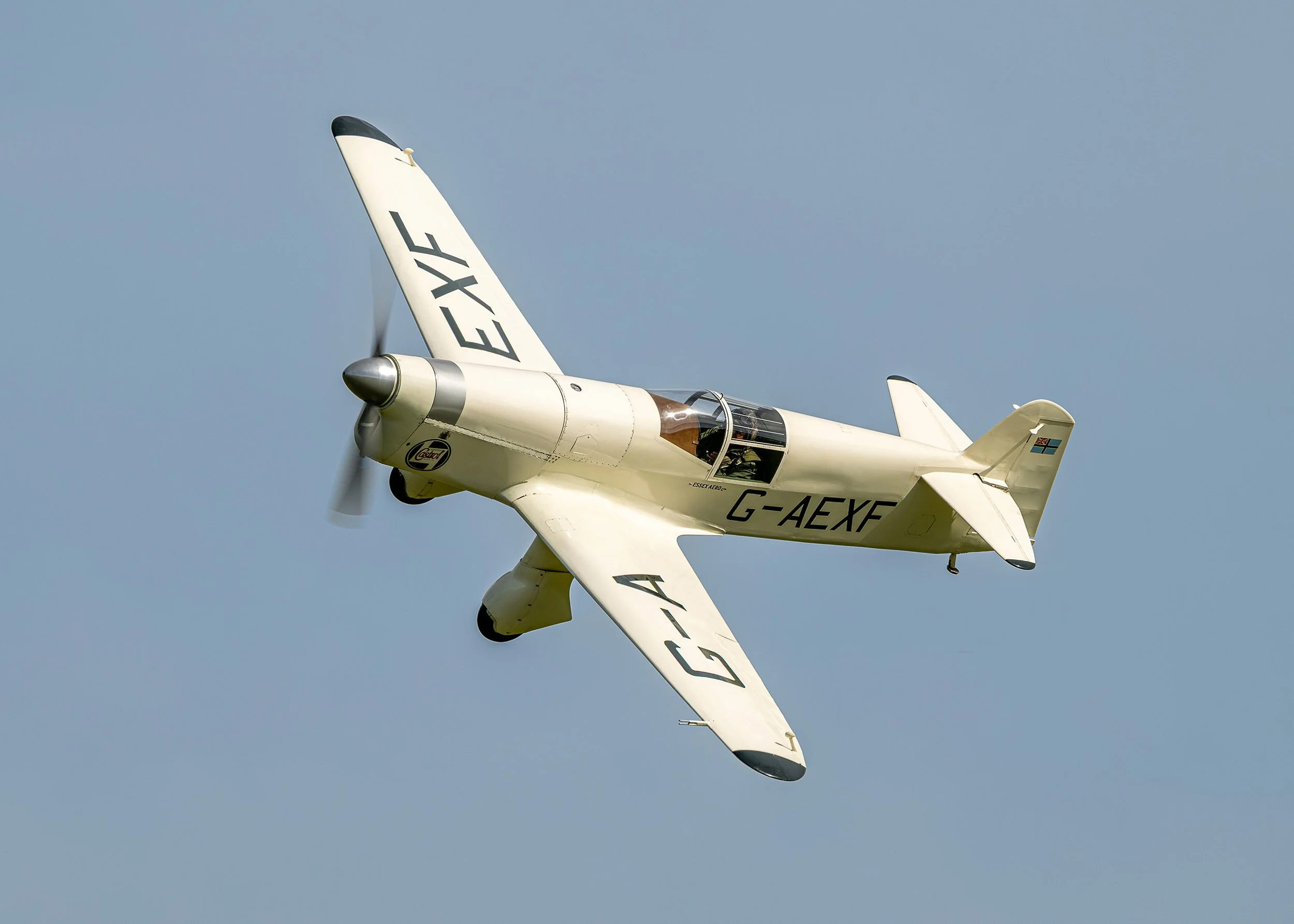 Percival Mew Gull | Festival of Flight 2024