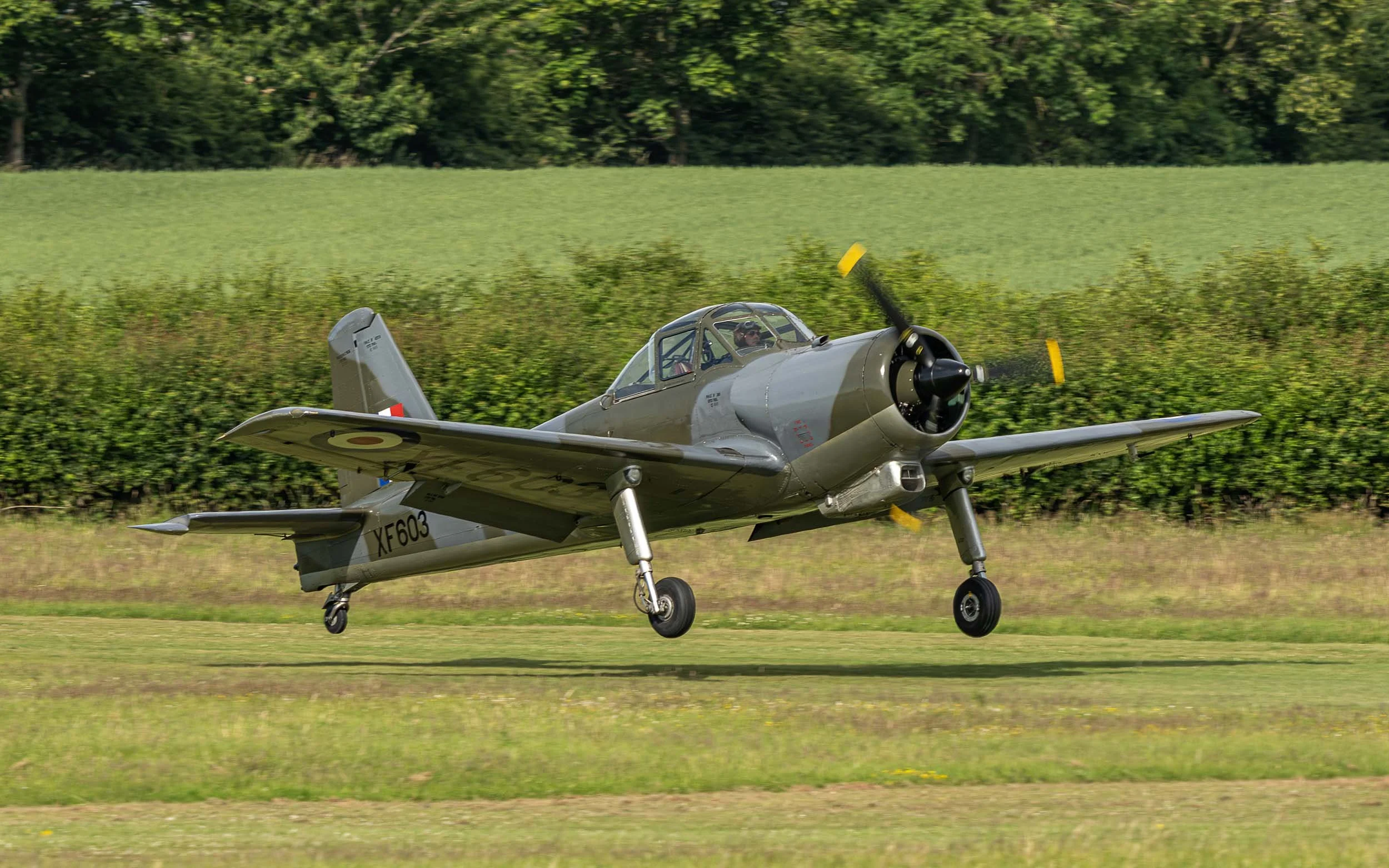 Percival Provost | Festival of Flight 2024