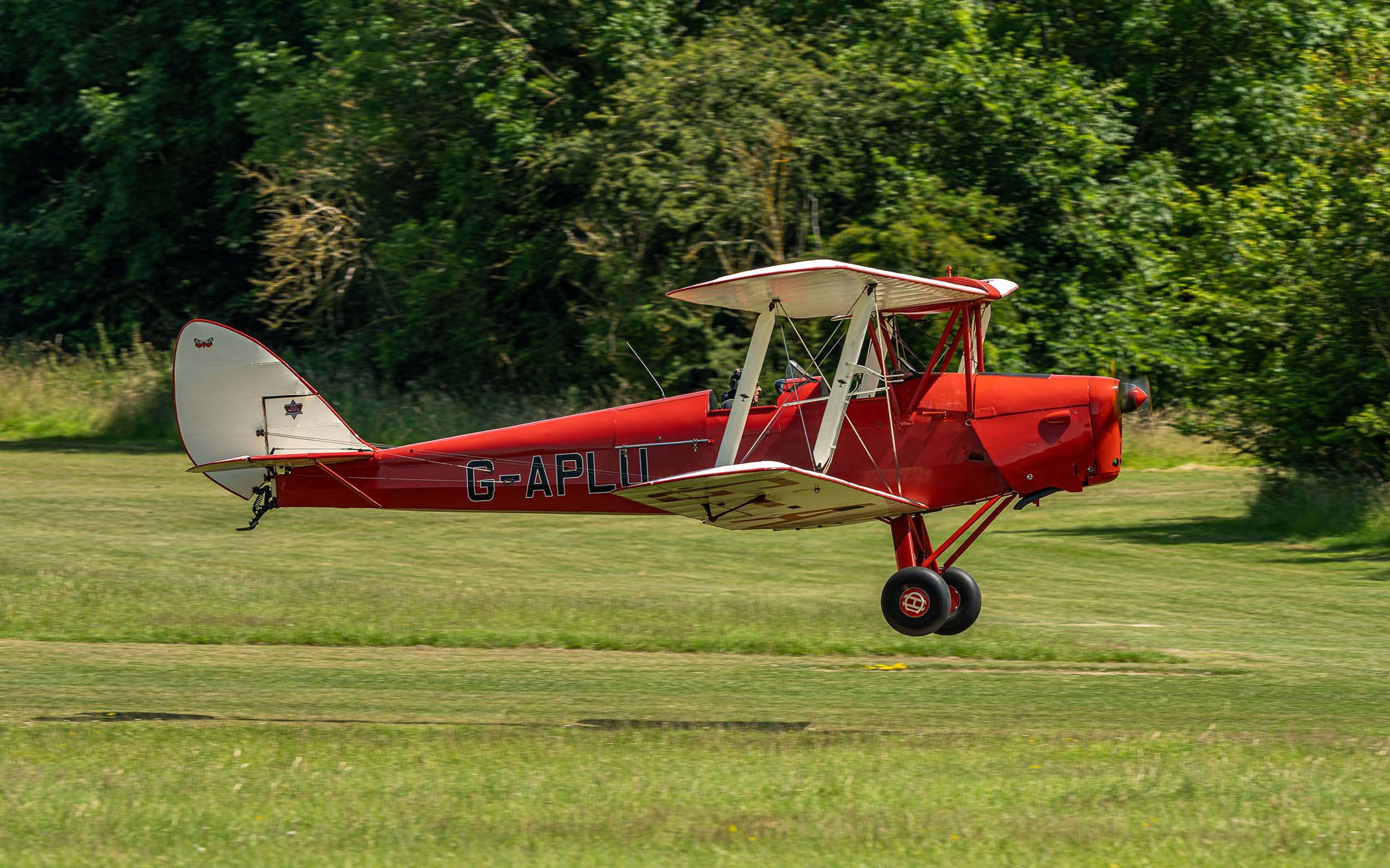 de Havilland DH.82A | Festival of Flight 2024