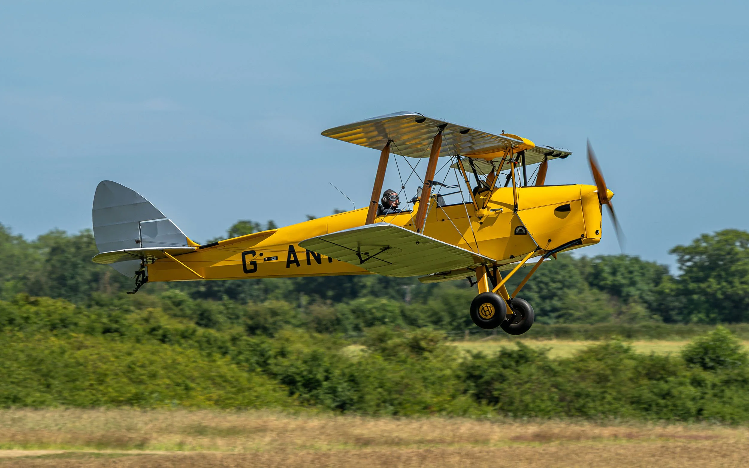 de Havilland DH.82A | Festival of Flight 2024