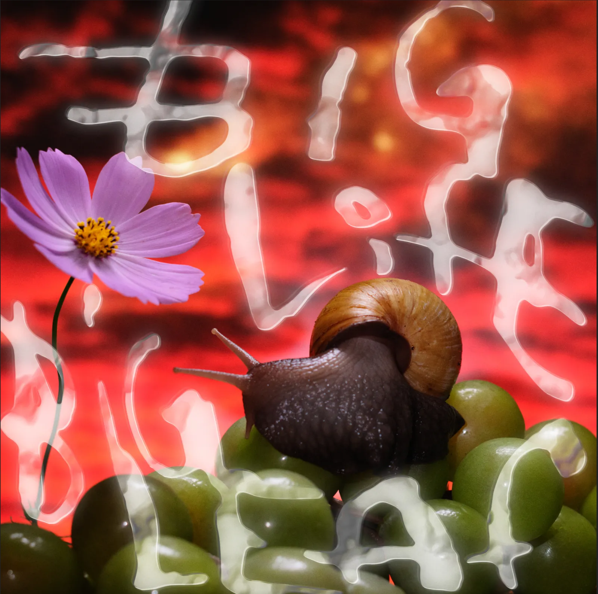 NO JOY ANNOUNCES NEW EP “BIG LIFE, BIG LEAF” 