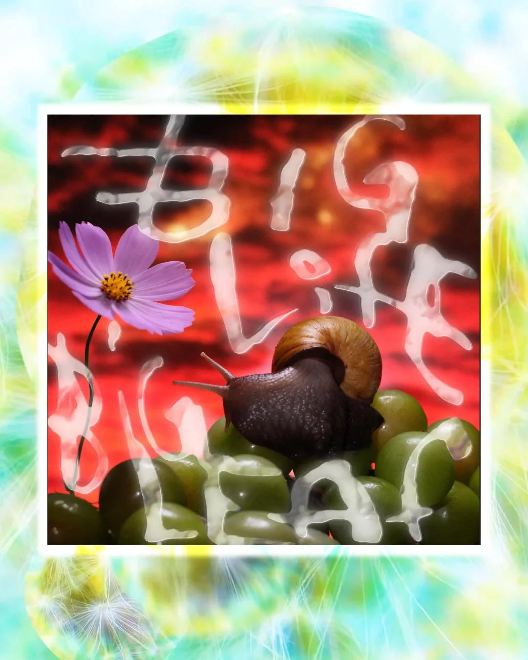 big life big leaf.jpg
