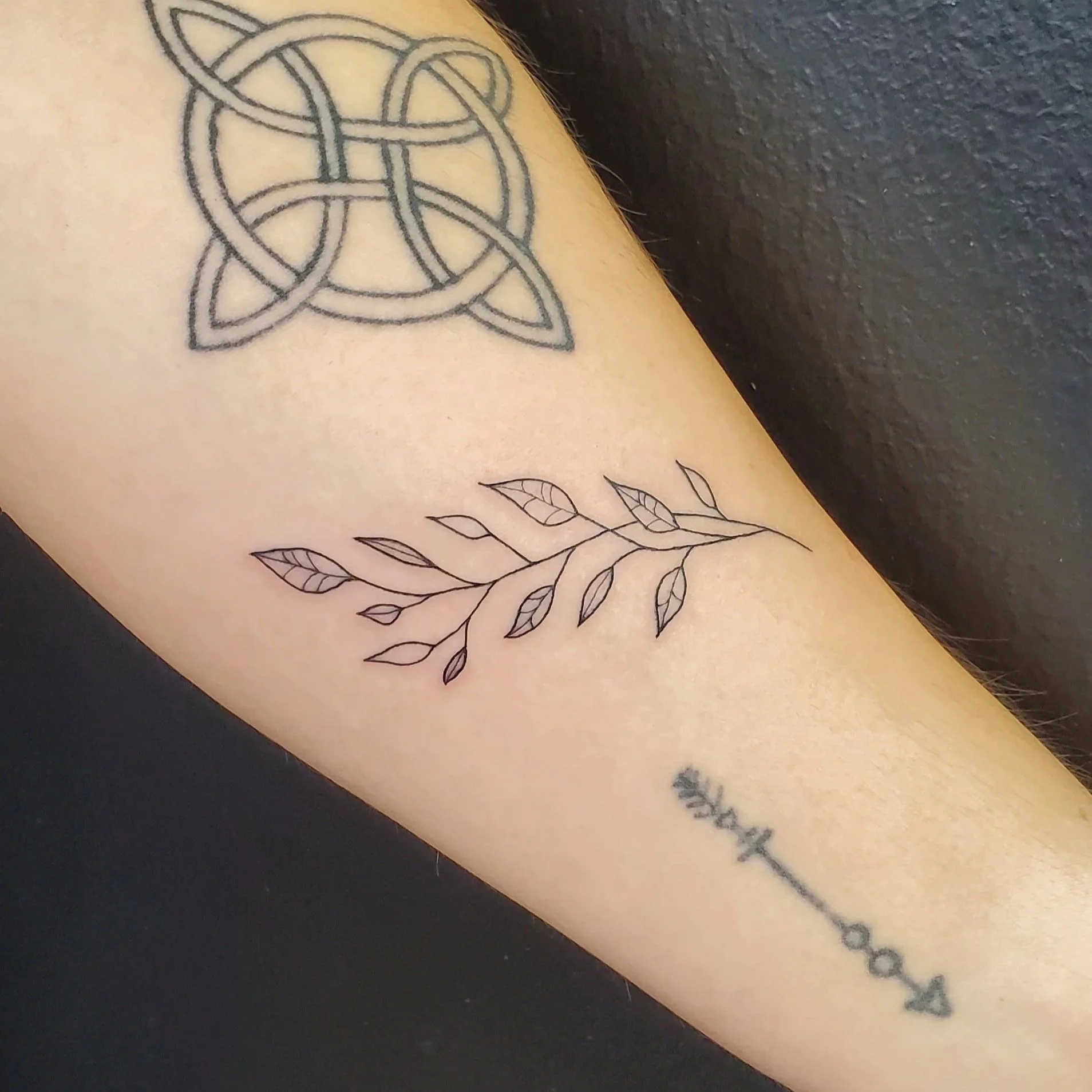 20241120_103507.jpg