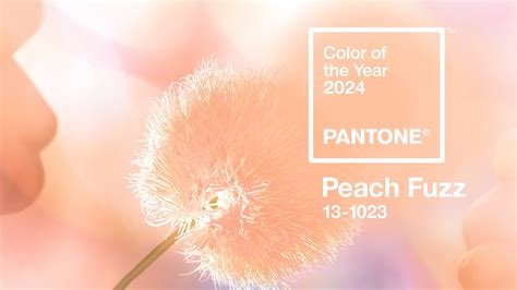 Pantone Color of the Year 2024
