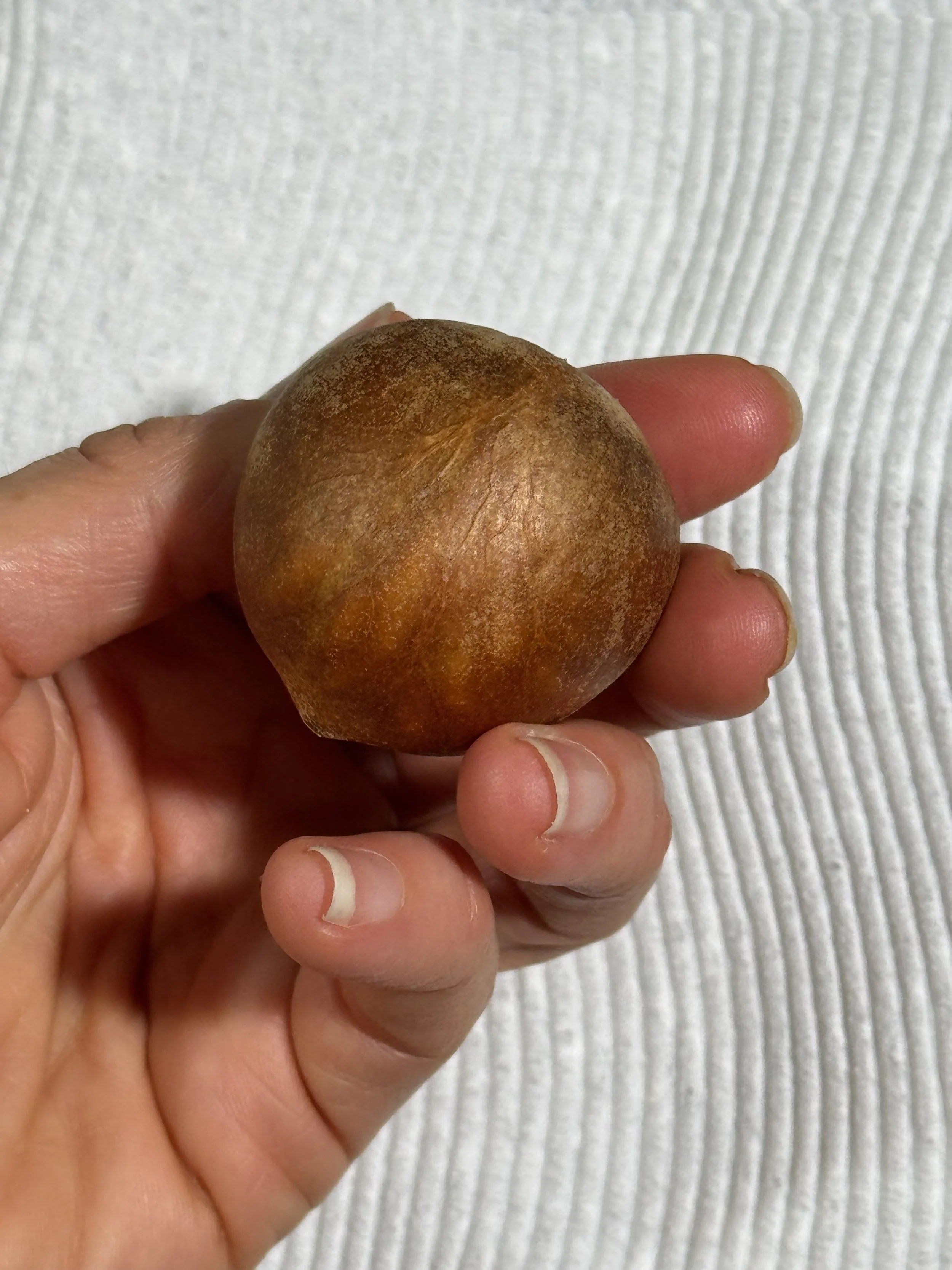 DIY Avocado Pit Buttons: A Simple, Eco-Friendly Craft Project