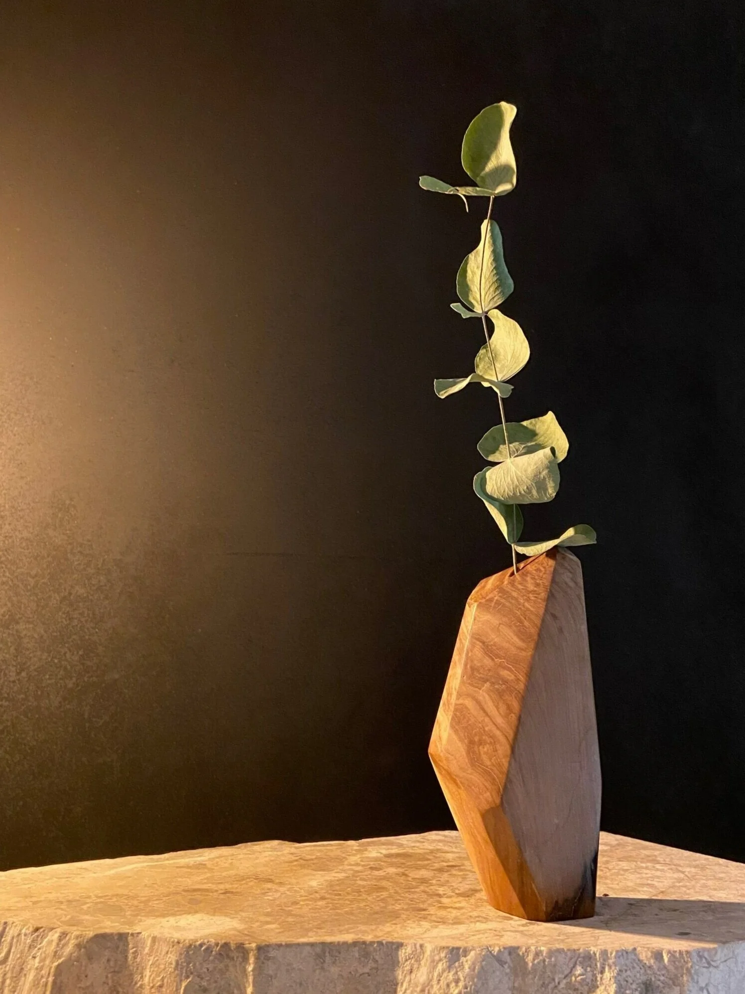 A minimalist wooden vase with a geometric shape holding a tall, slender branch with green leaves, set against a dark background and illuminated by warm lighting.