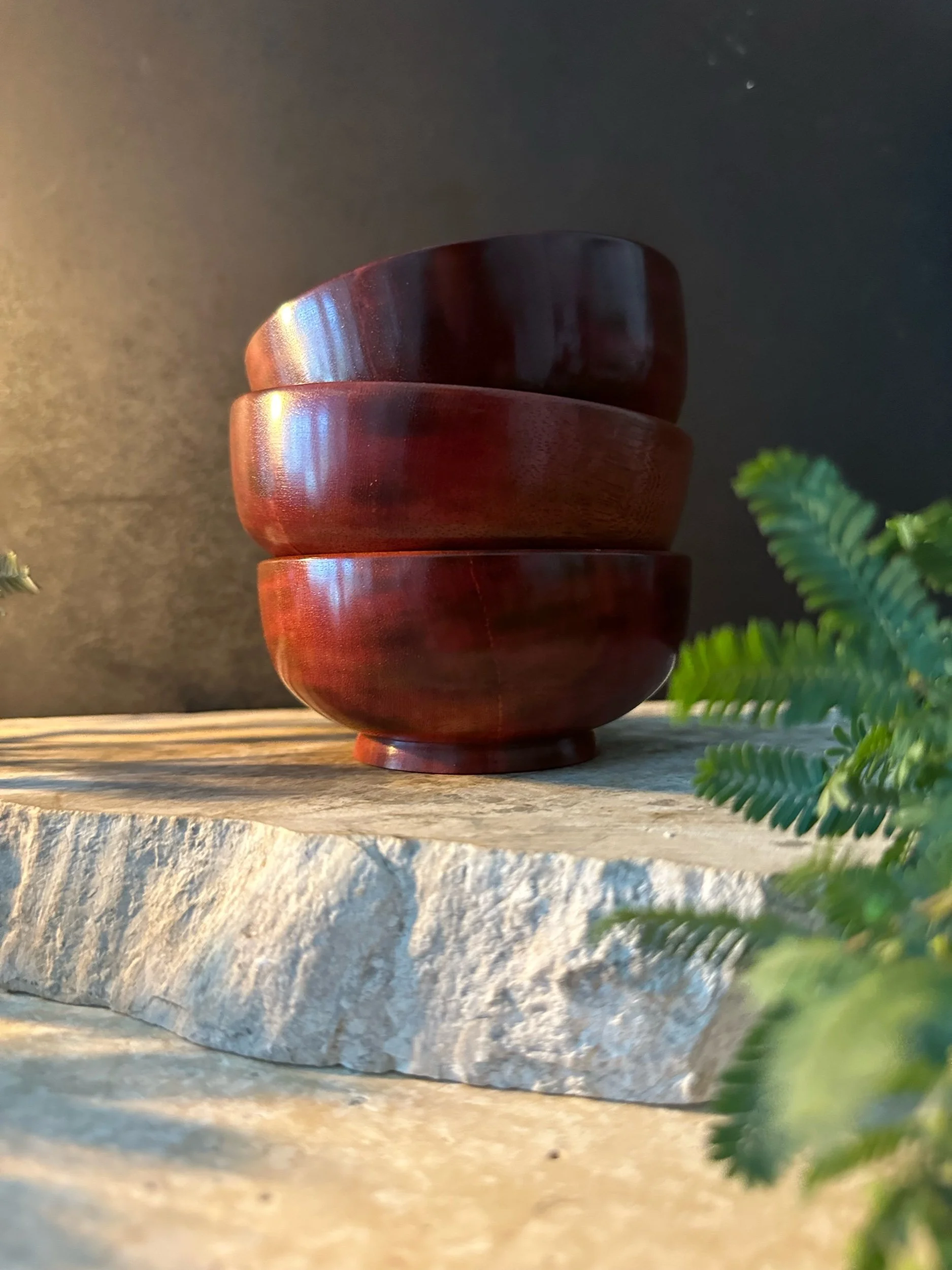 Four stacked wooden bowls on a textured stone surface with green fern fronds nearby, against a dark background.