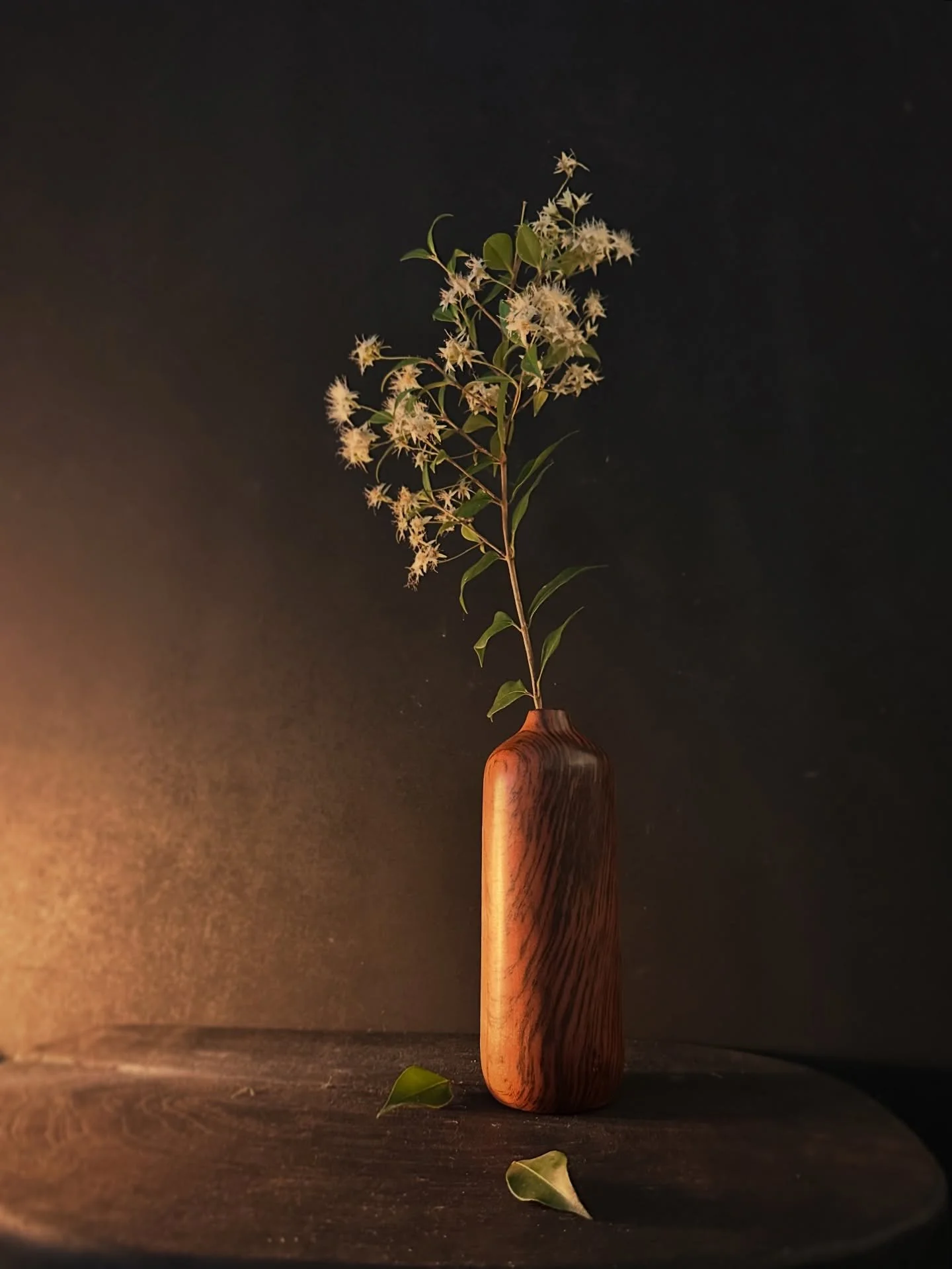 Gave myself permission to make this vase today

@carvingandturningtimbersales Tiger Myrtle and finished with @ubeaut_polishes from @popsshedshop 

#woodenvase #woodturned #flowervase #twigpot #australianmade #australian #australianmaker #tiger #tiger
