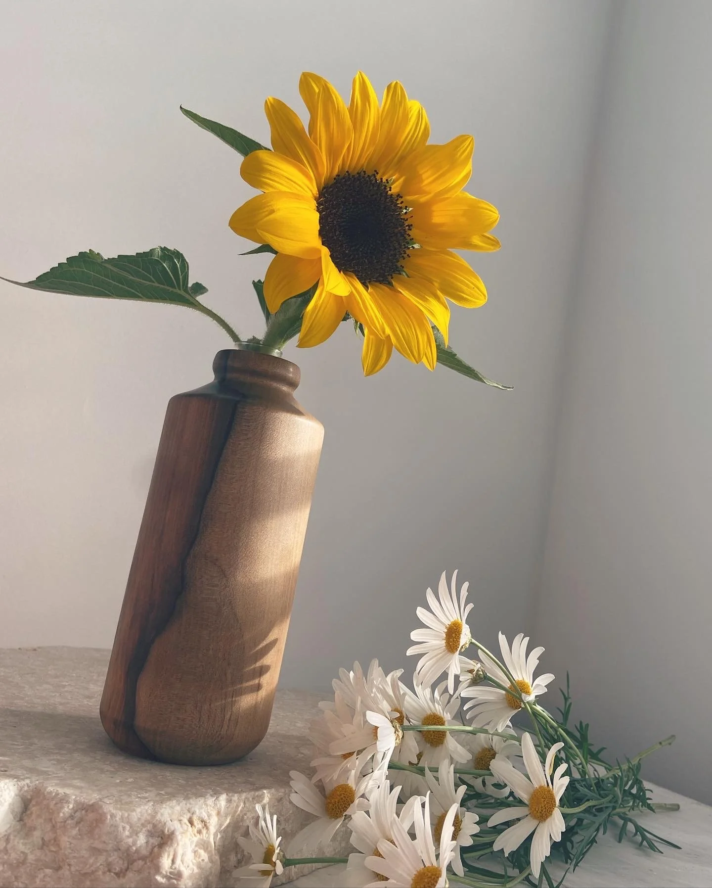 A sunflower in a wooden vase on a stone surface with white daisies laying on the surface.