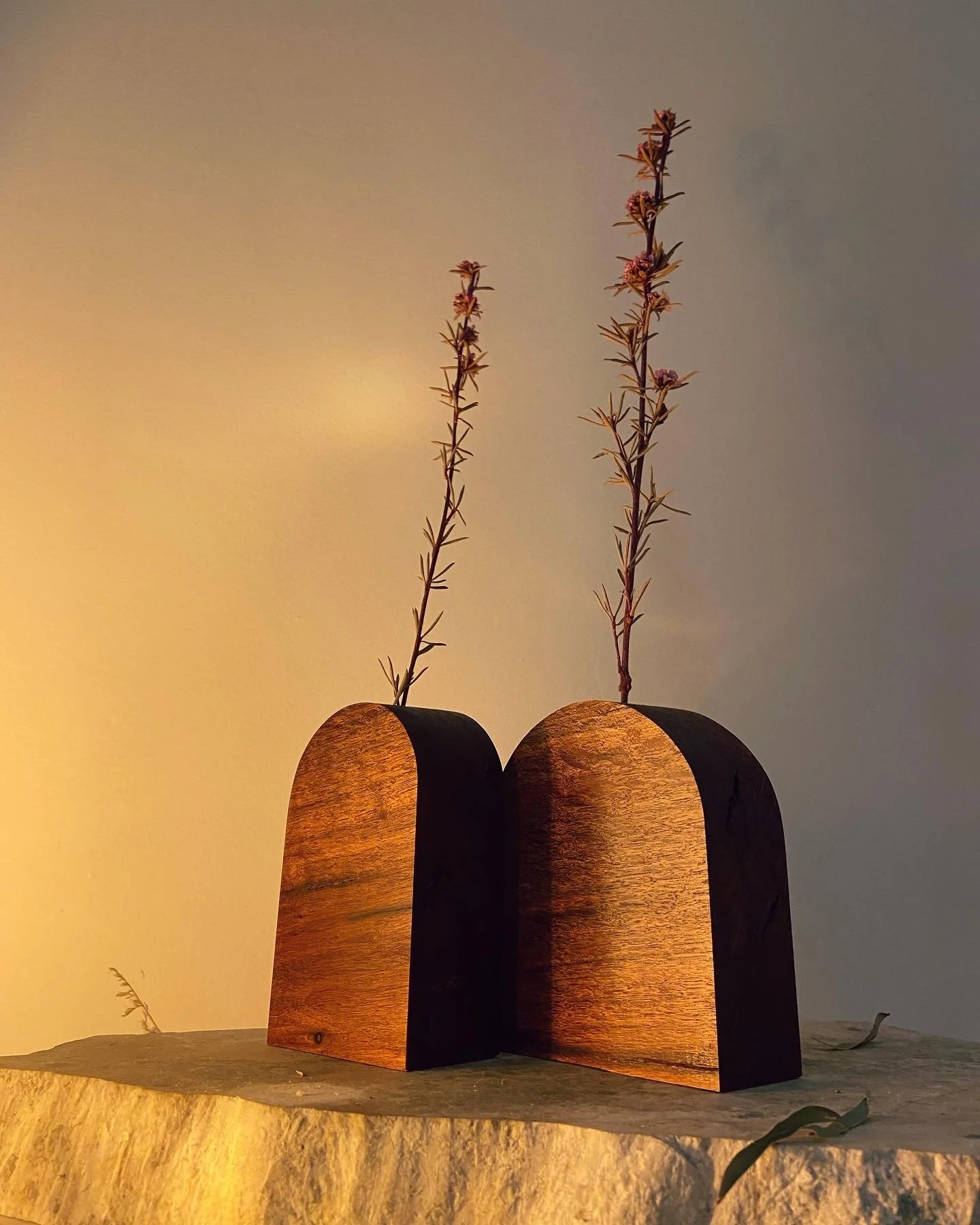 Two wooden planters with tall, thin plants inside, placed on a stone surface; the background has warm lighting.
