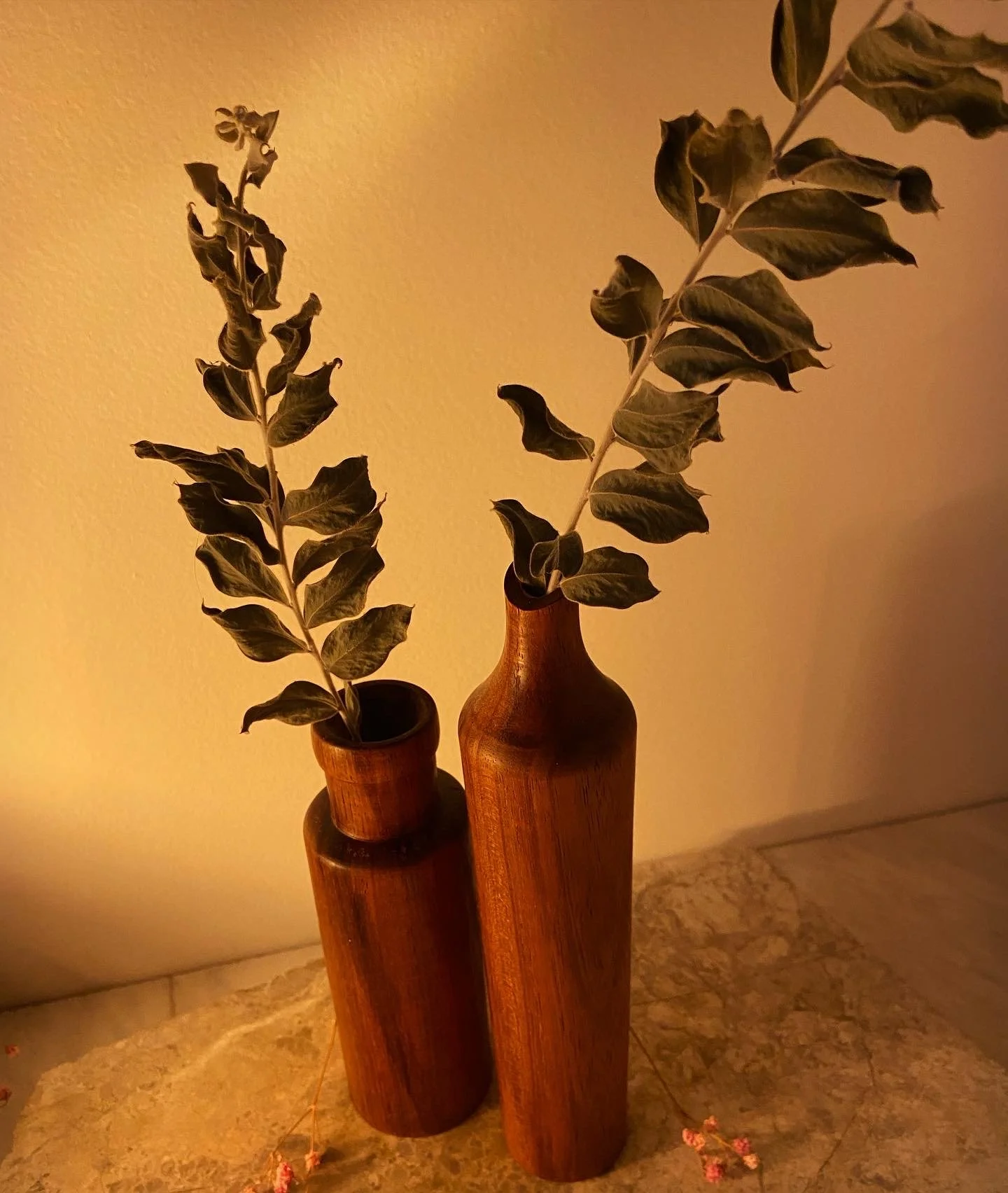 Two wooden vases with dried leafy branches on a marble surface against a beige wall, warm lighting.