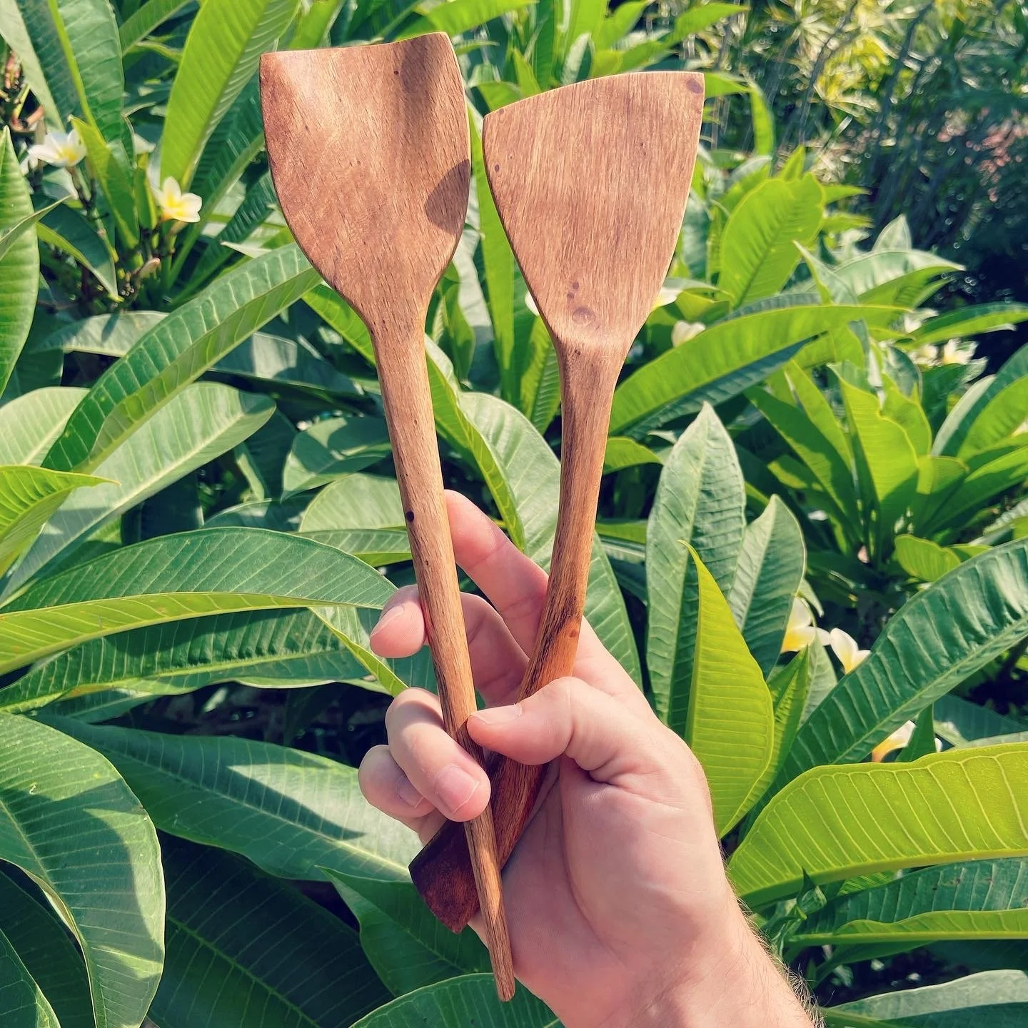 A person's hand holding two wooden spatulas in front of a lush green tropical plant with large leaves.