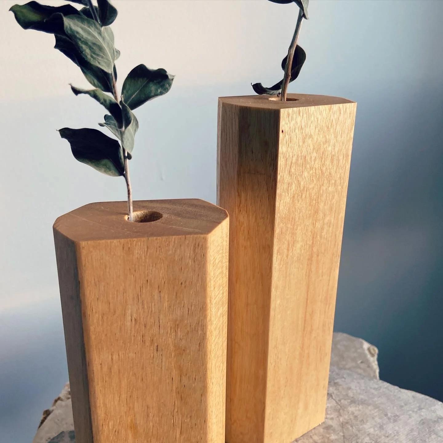 Two wooden vases with hollow centers holding green leafy twigs, placed on a rocky surface against a soft blue background.