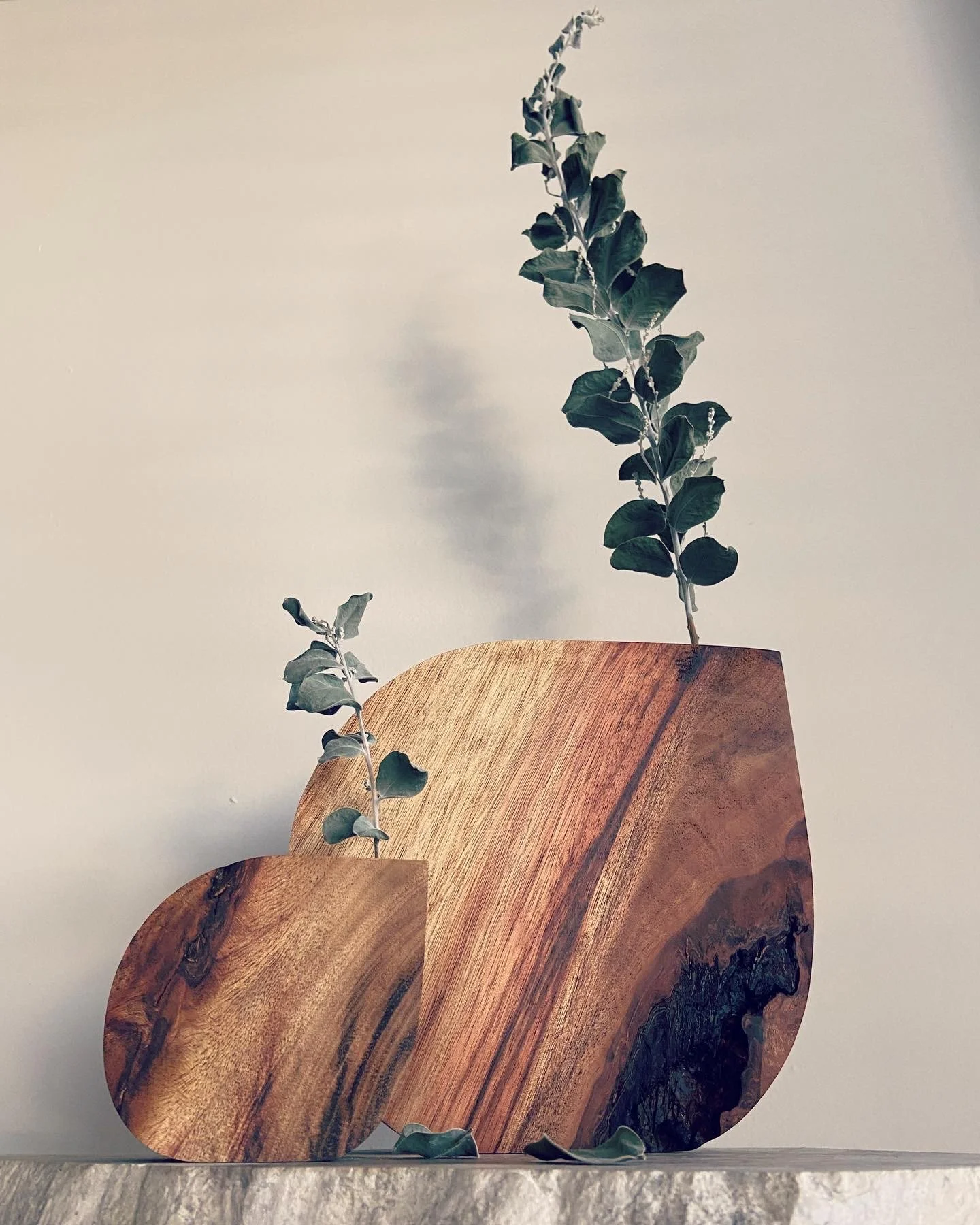 A photo of two wooden vases with green leafy plants, placed on a surface against a plain background.