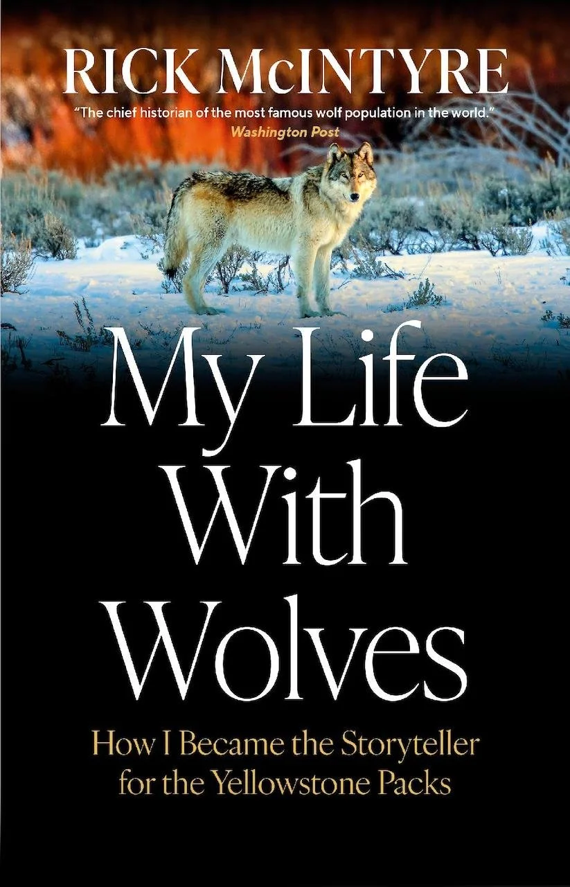 Review by Norm: My Life with Wolves: How I Became the Storyteller for the Yellowstone Packs by Rick McIntyre