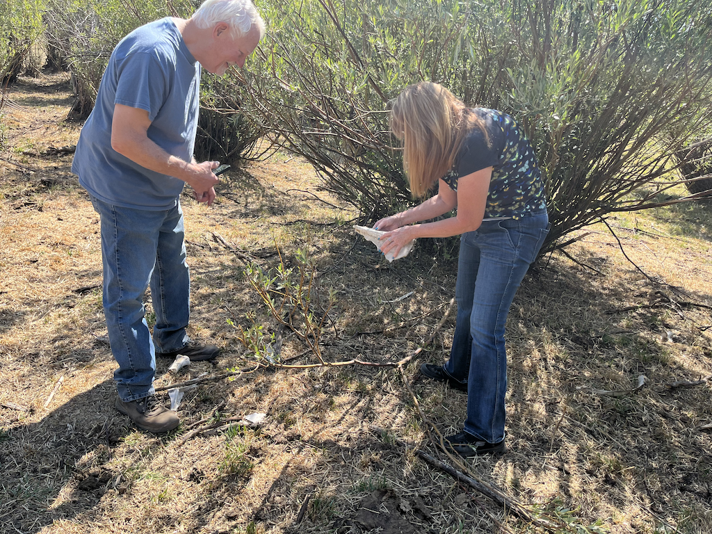 Examining the skeletal remains of a suspected wolf kill in Colorado's wolf country in early 2026.