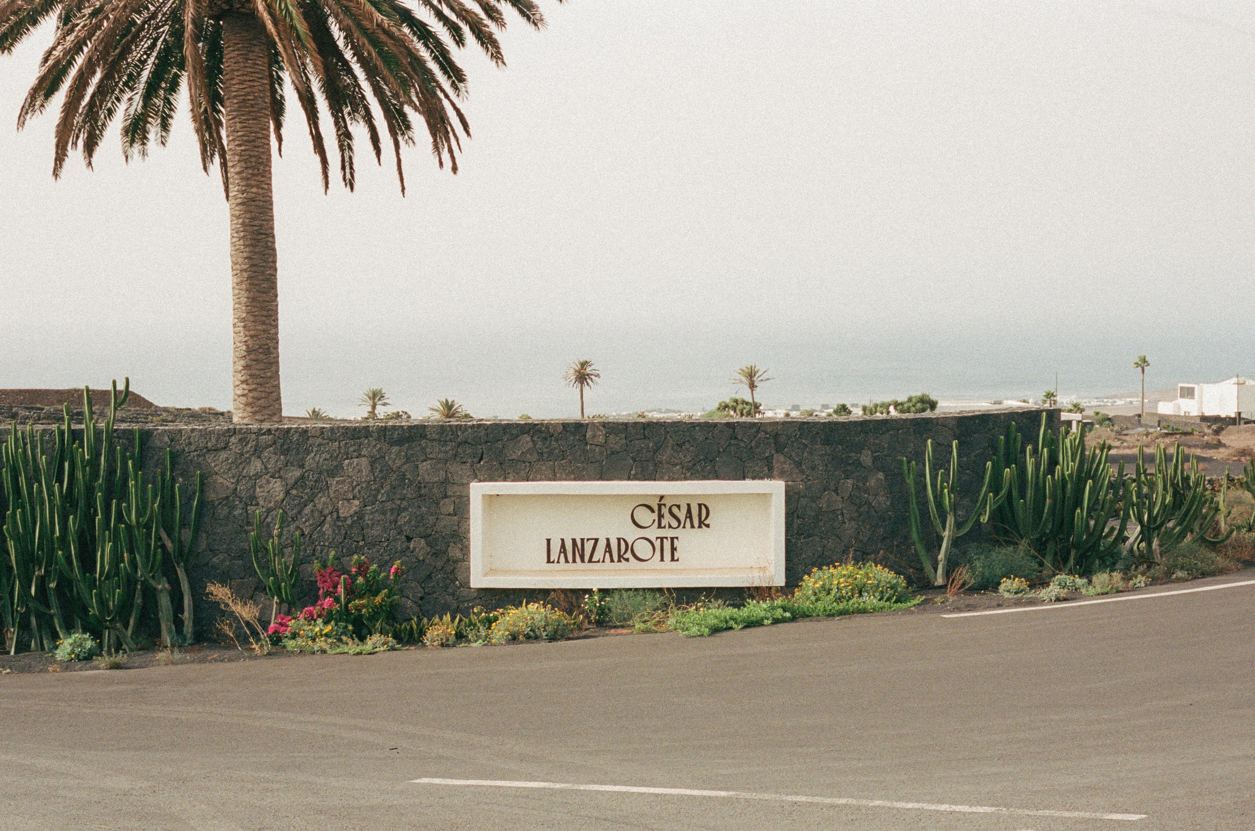 cesarlanzarote-46.jpg