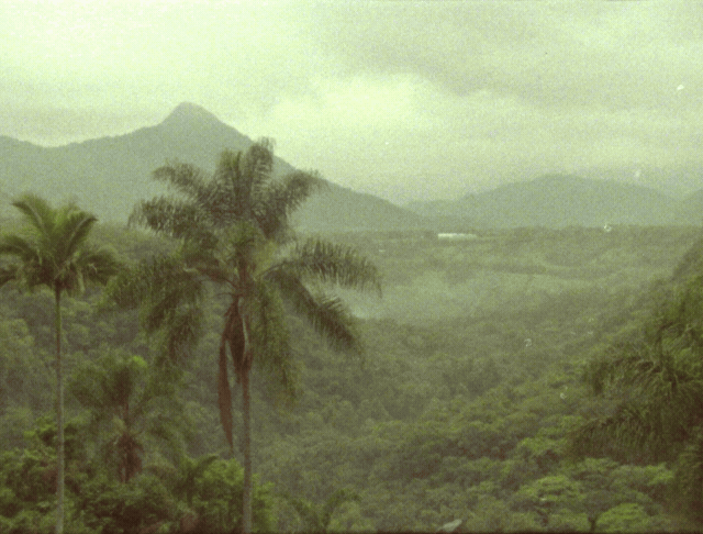 03-clip-0m00s-0m04s.gif