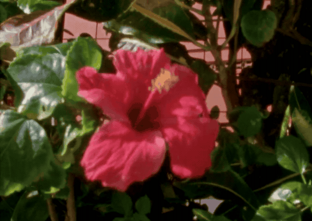 clip-9bf806a2.gif