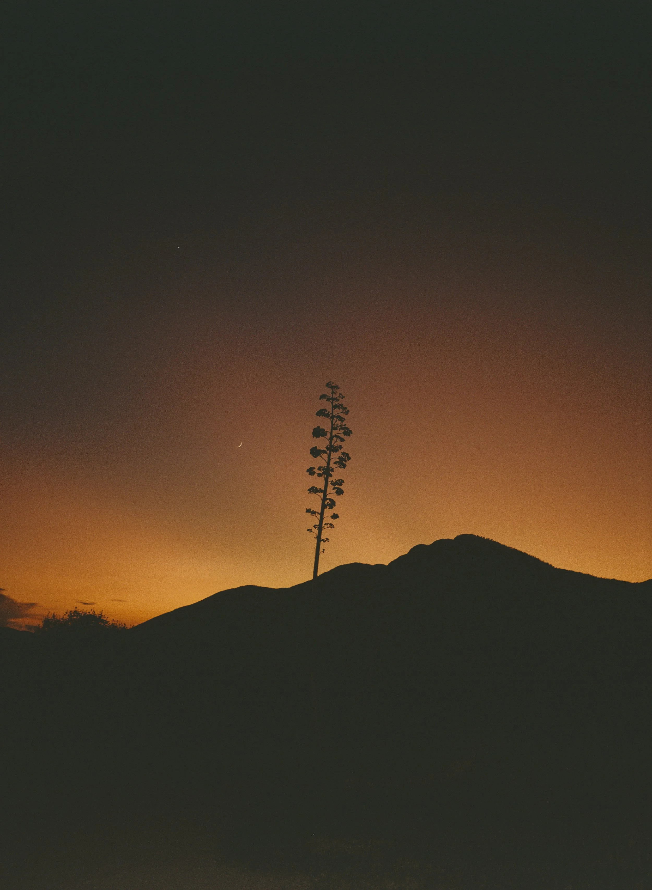 Mexico.Oaxaca.film-12-2 copy.jpg