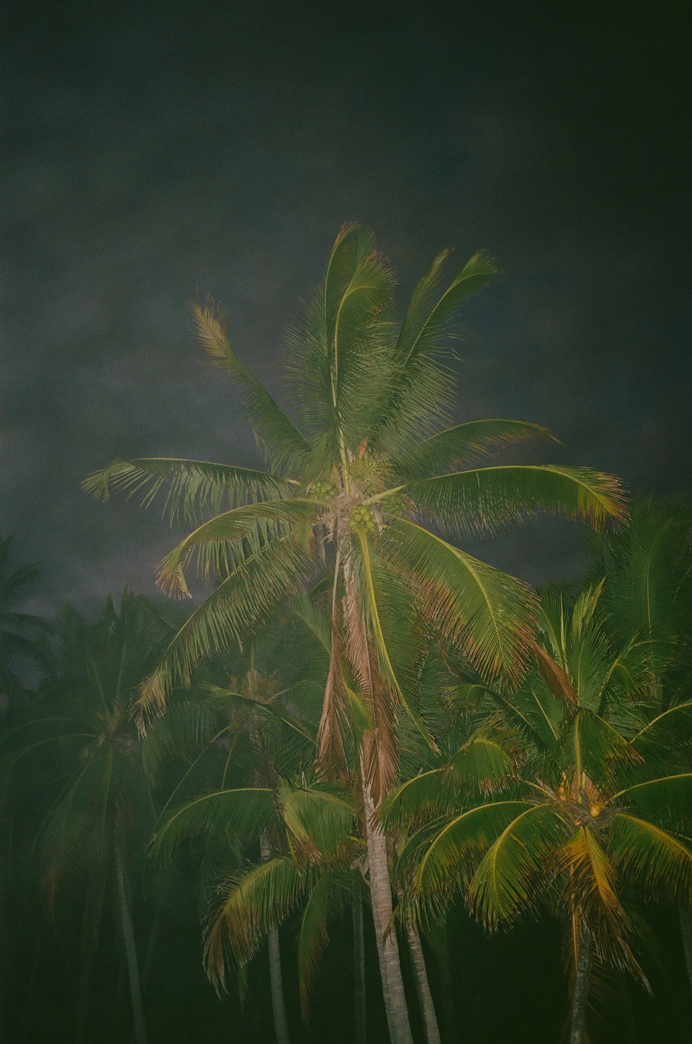 costarica-97.jpg