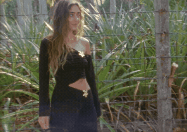gif-04-65s.gif