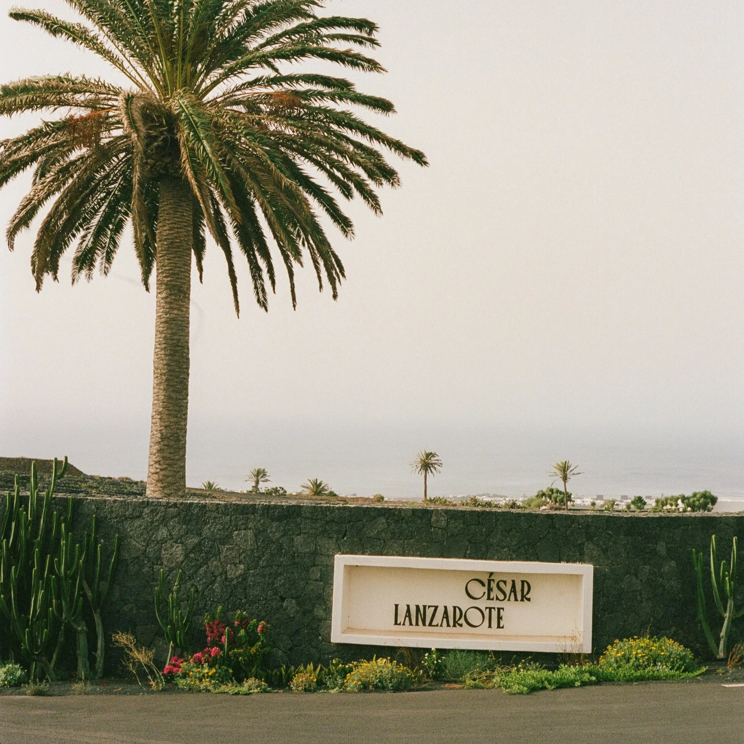 HOTEL CESAR LANZAROTE