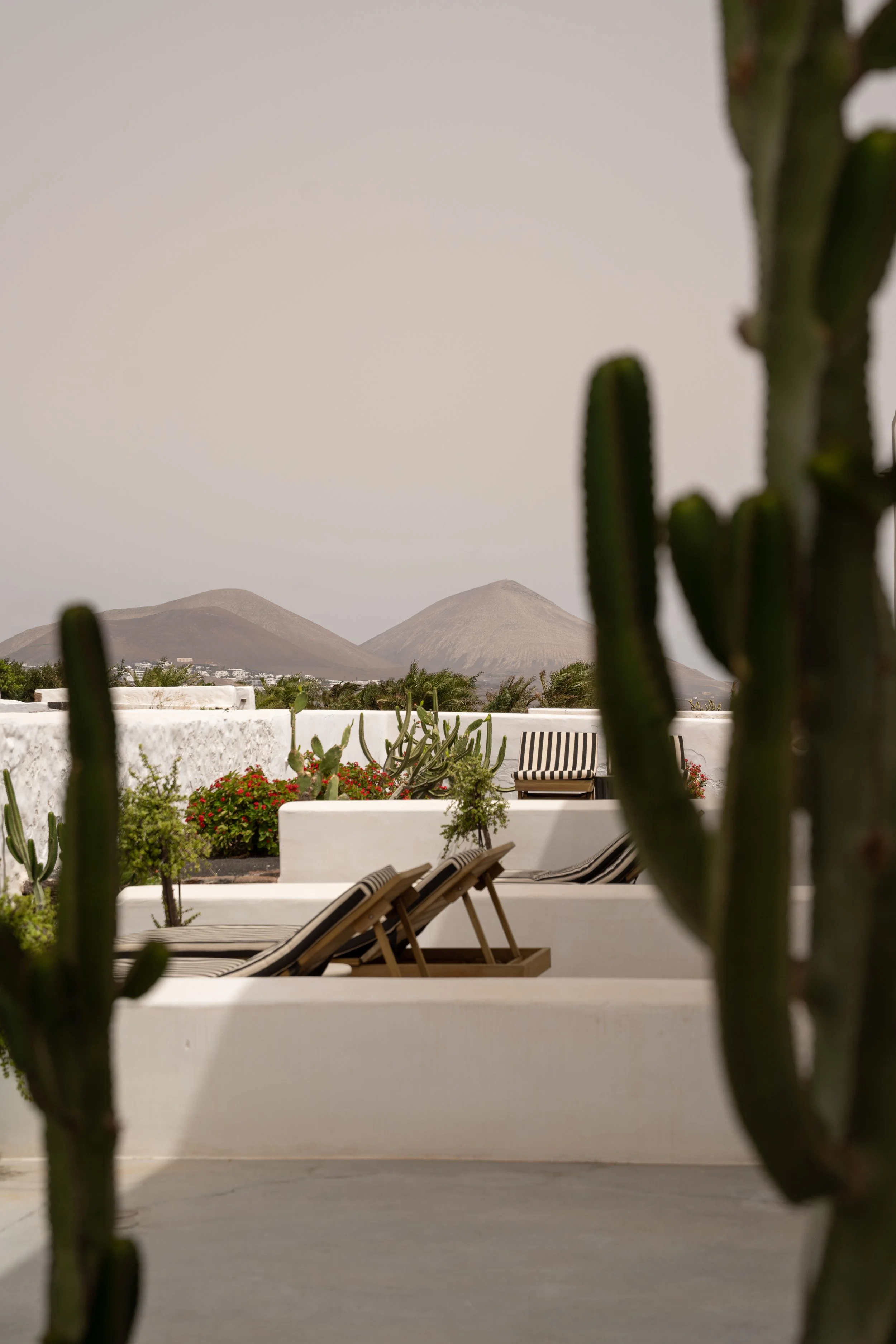 cesarlanzarote-20.jpg