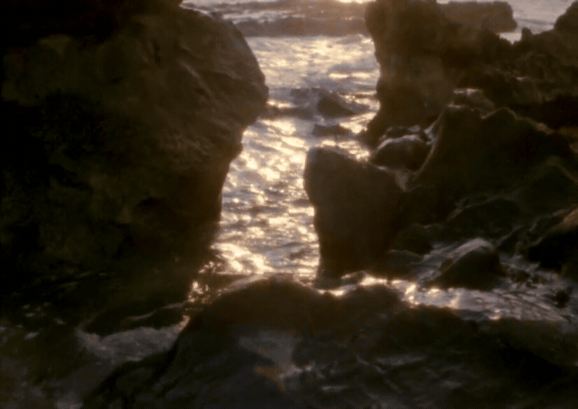 clip-b56a6593.gif
