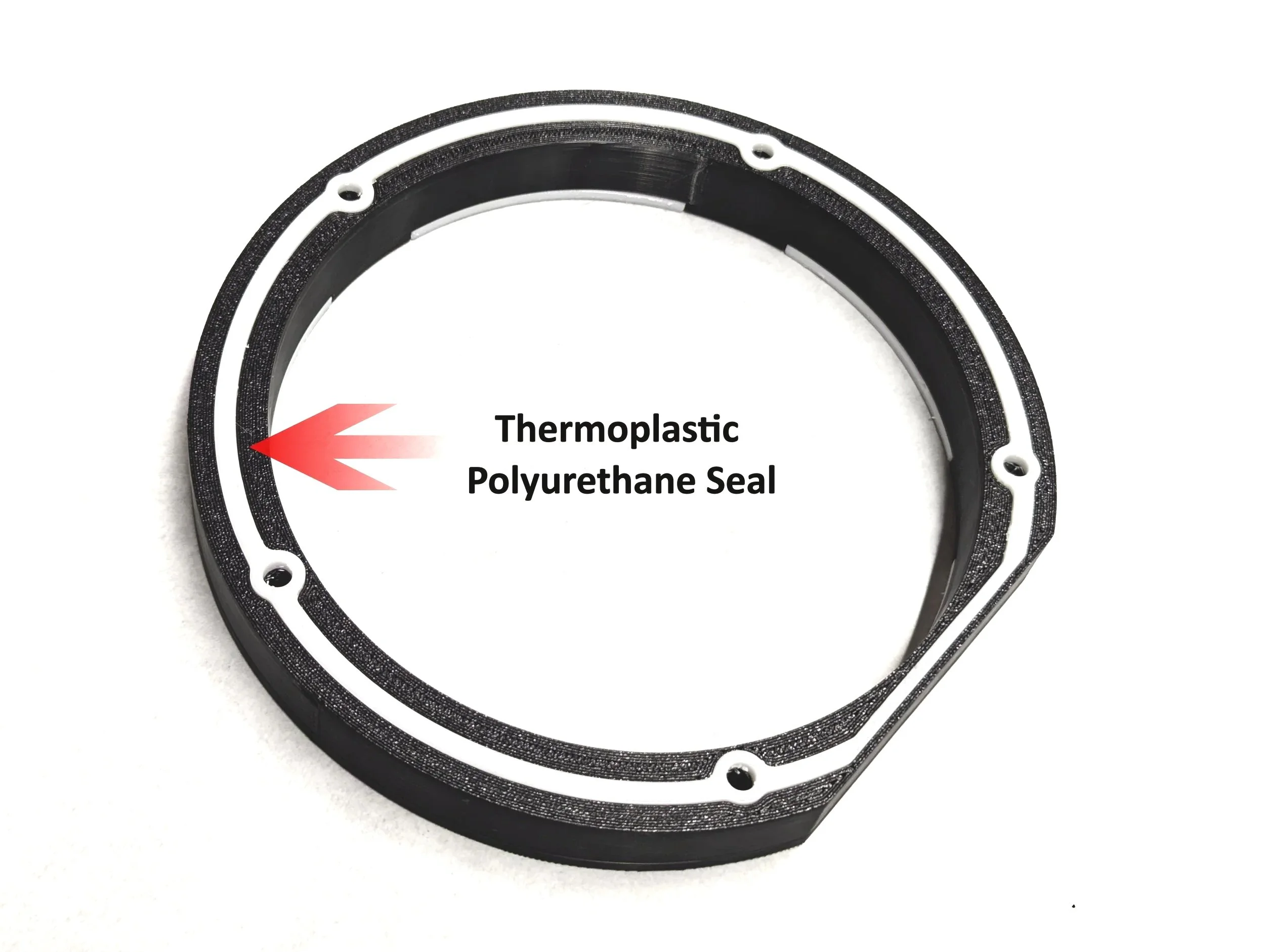 Seal+Picture.jpg