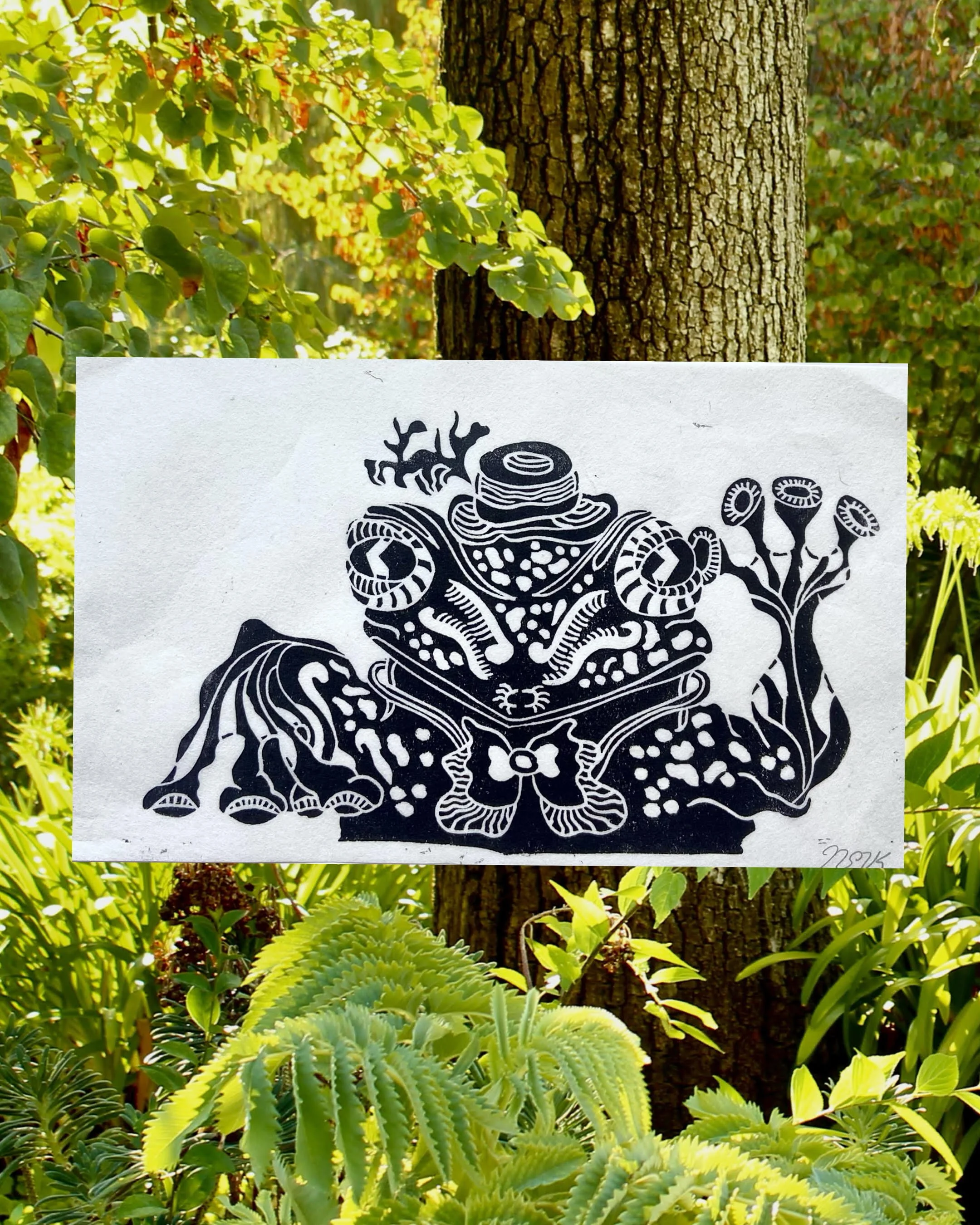 Mr. Frog