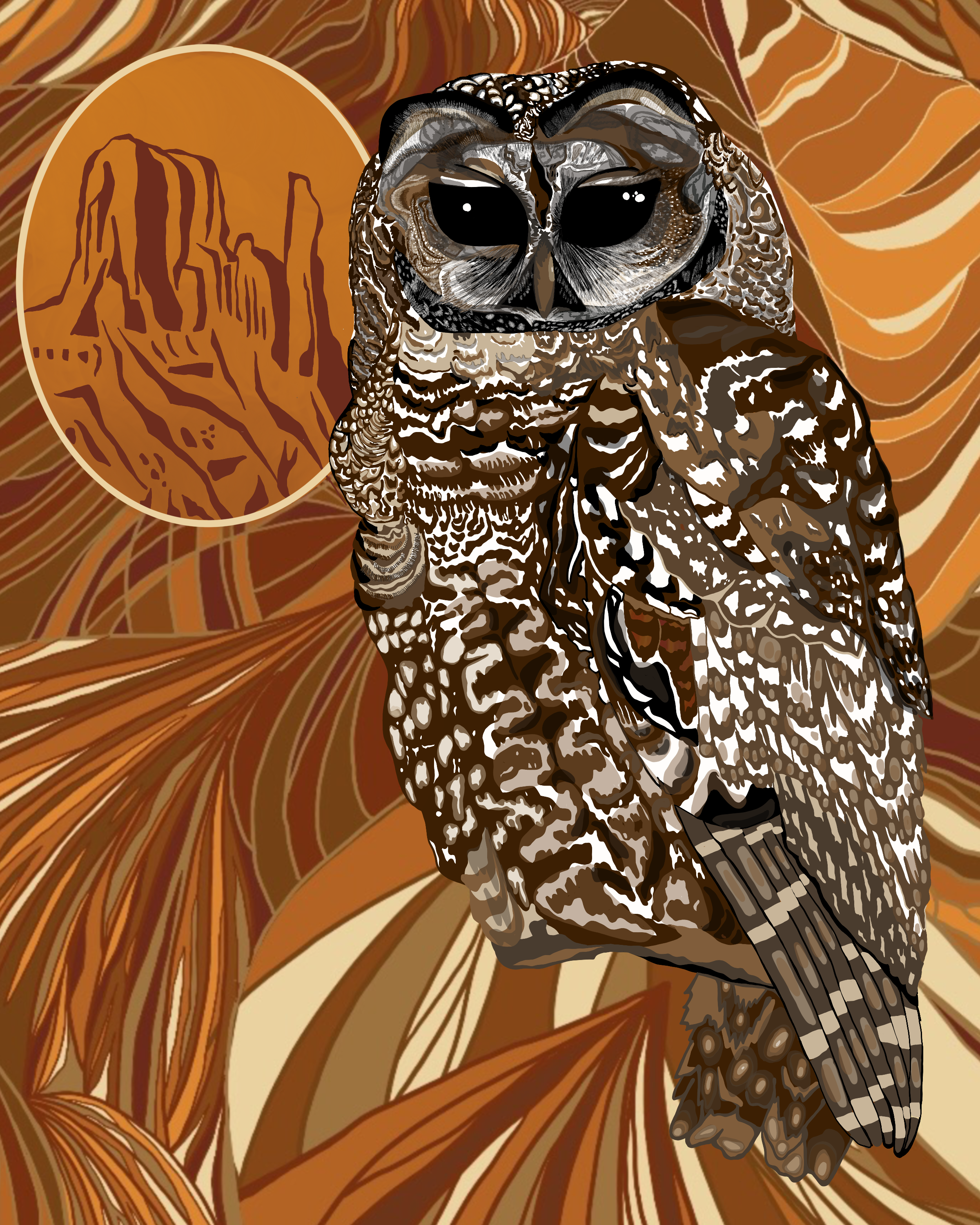 Mexican Spotted Owl